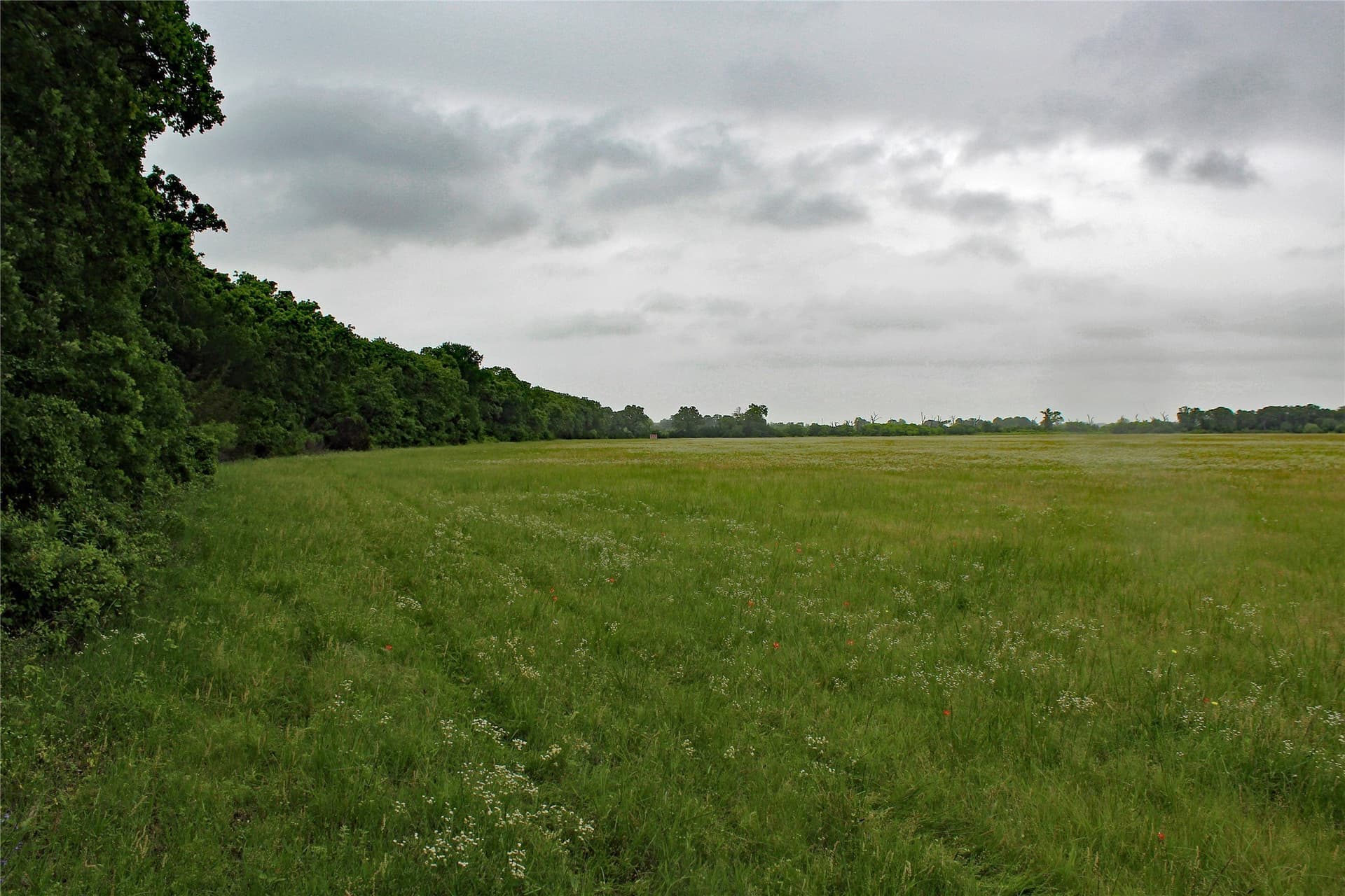 38.16 acres in Johnson County - photo 7