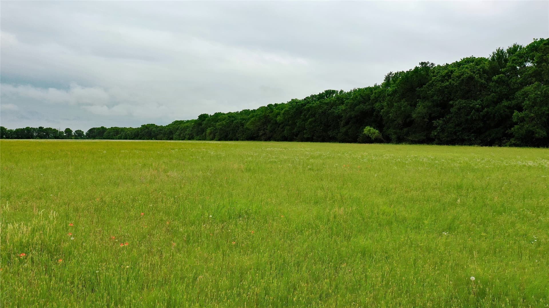 38.16 acres in Johnson County - photo 5