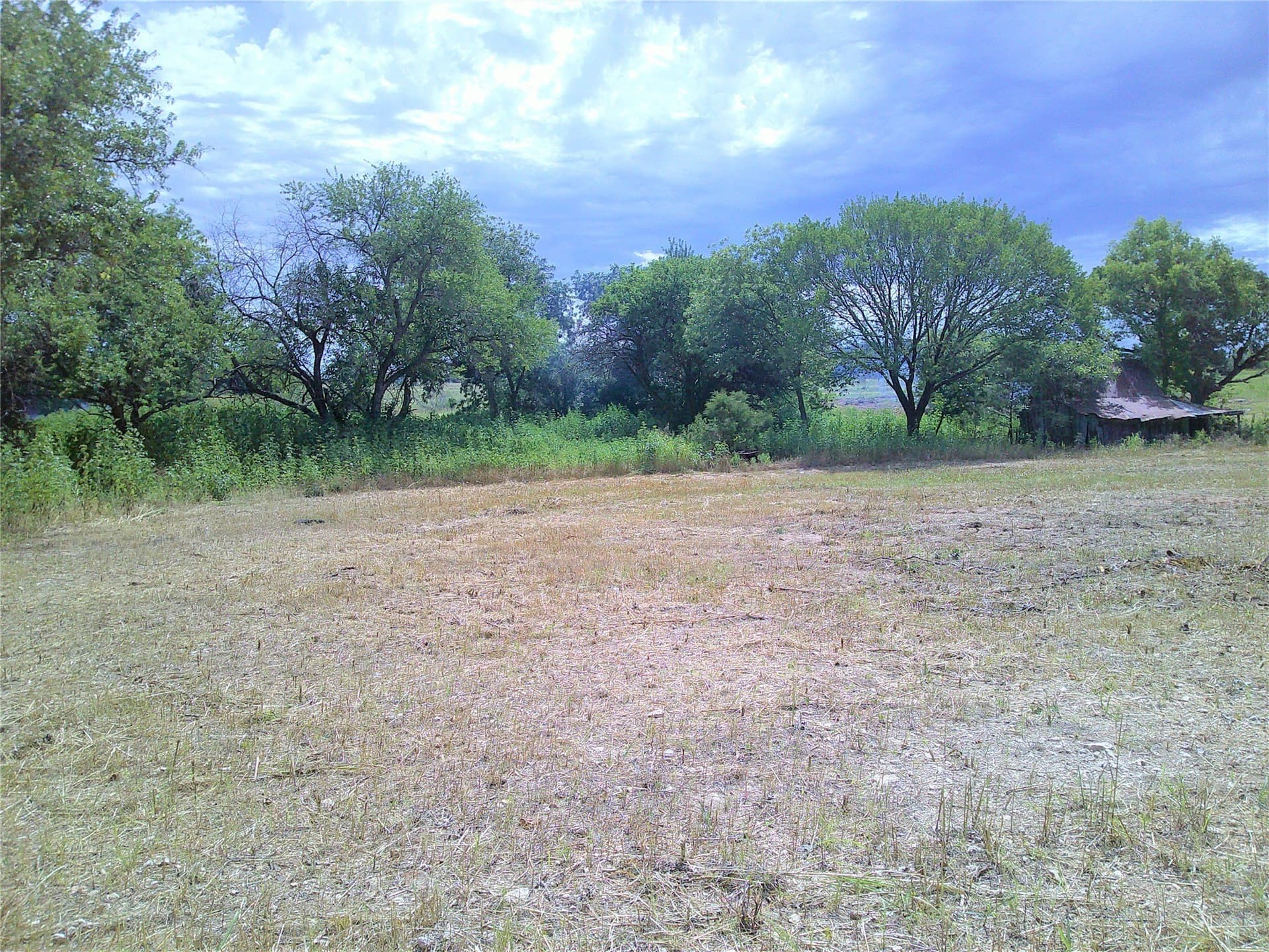 3 acres in Montague County - photo 2