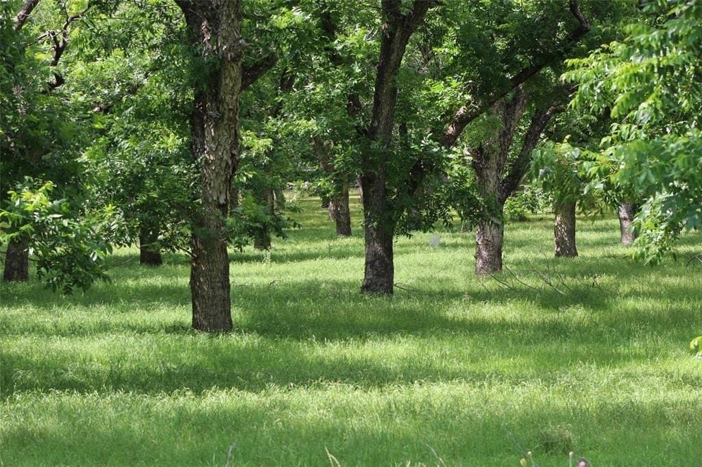 6.29 acres in Johnson County gallery image 2