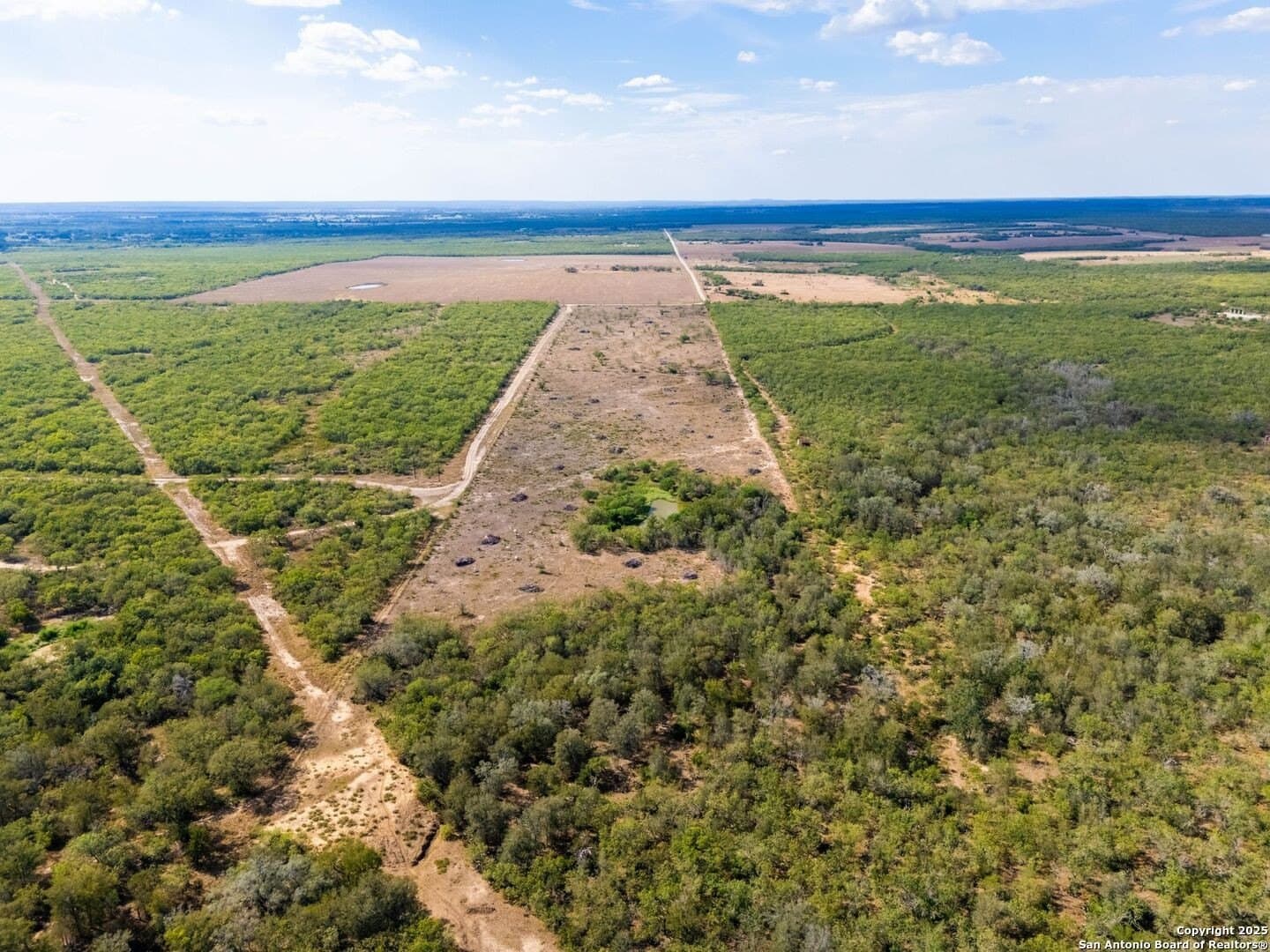 55 acres in Gonzales County gallery image 3