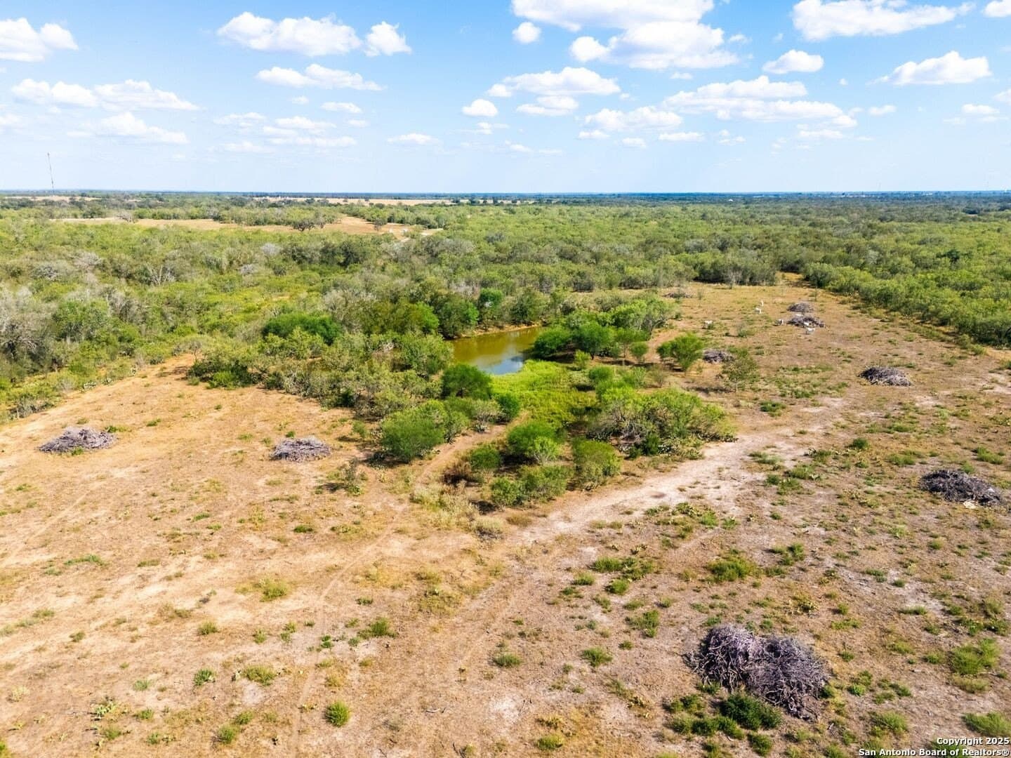 55 acres in Gonzales County featured view