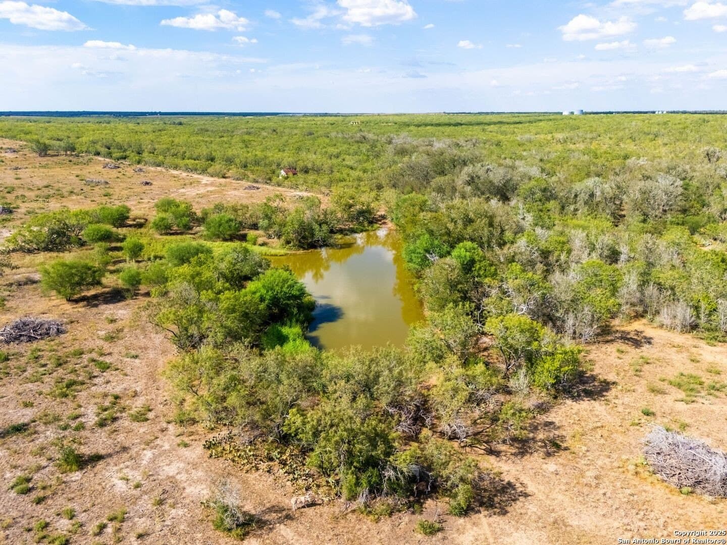 55 acres in Gonzales County gallery image 4