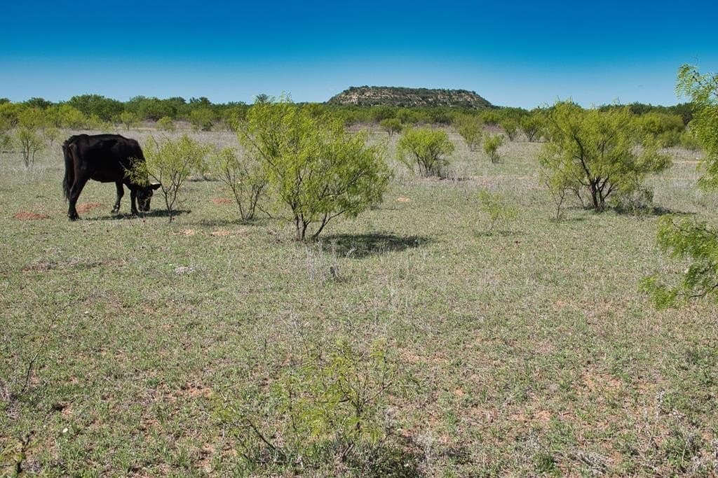 34 acres in Mason County