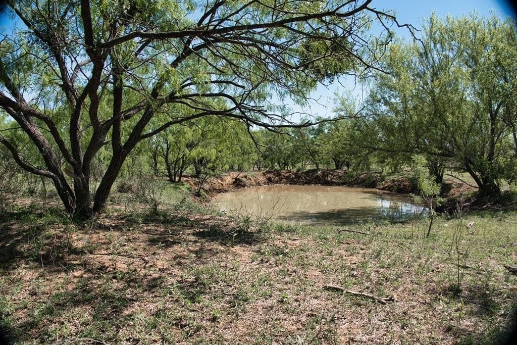 34 acres in Mason County gallery image 4