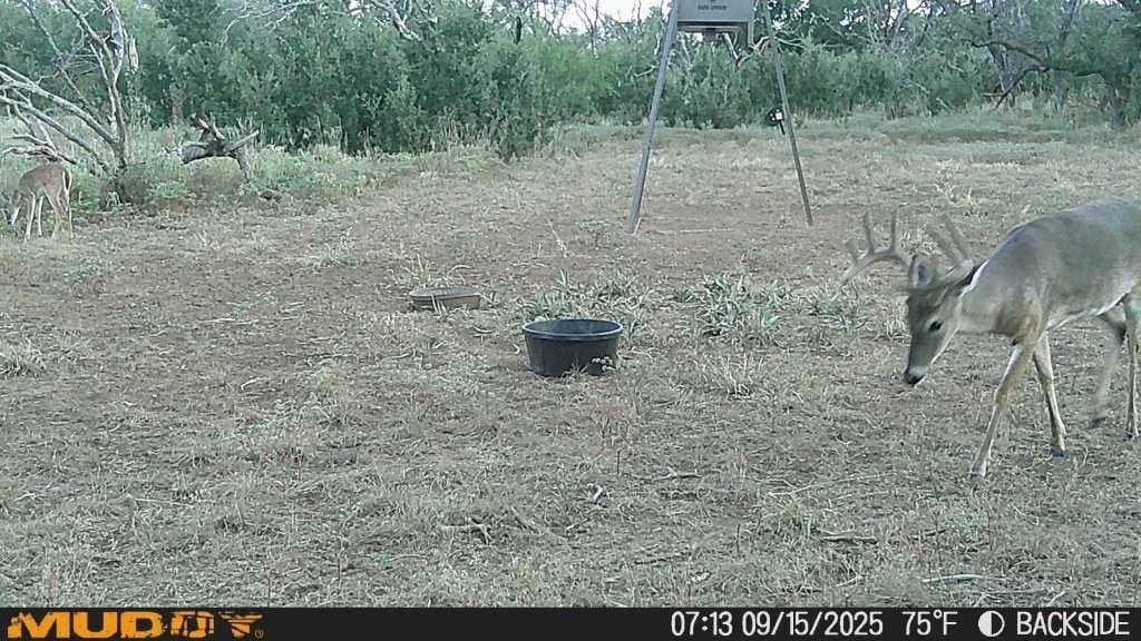 154.5 acres in Brown County - photo 37