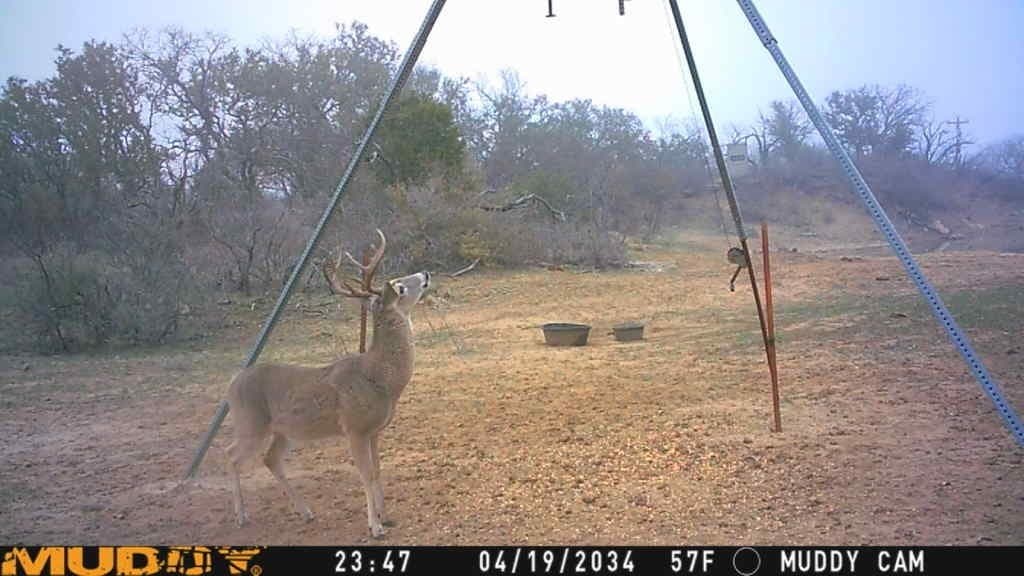 154.5 acres in Brown County - photo 36