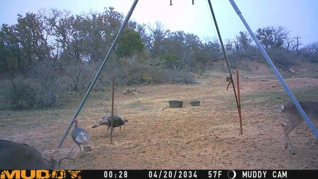 154.5 acres in Brown County - photo 39