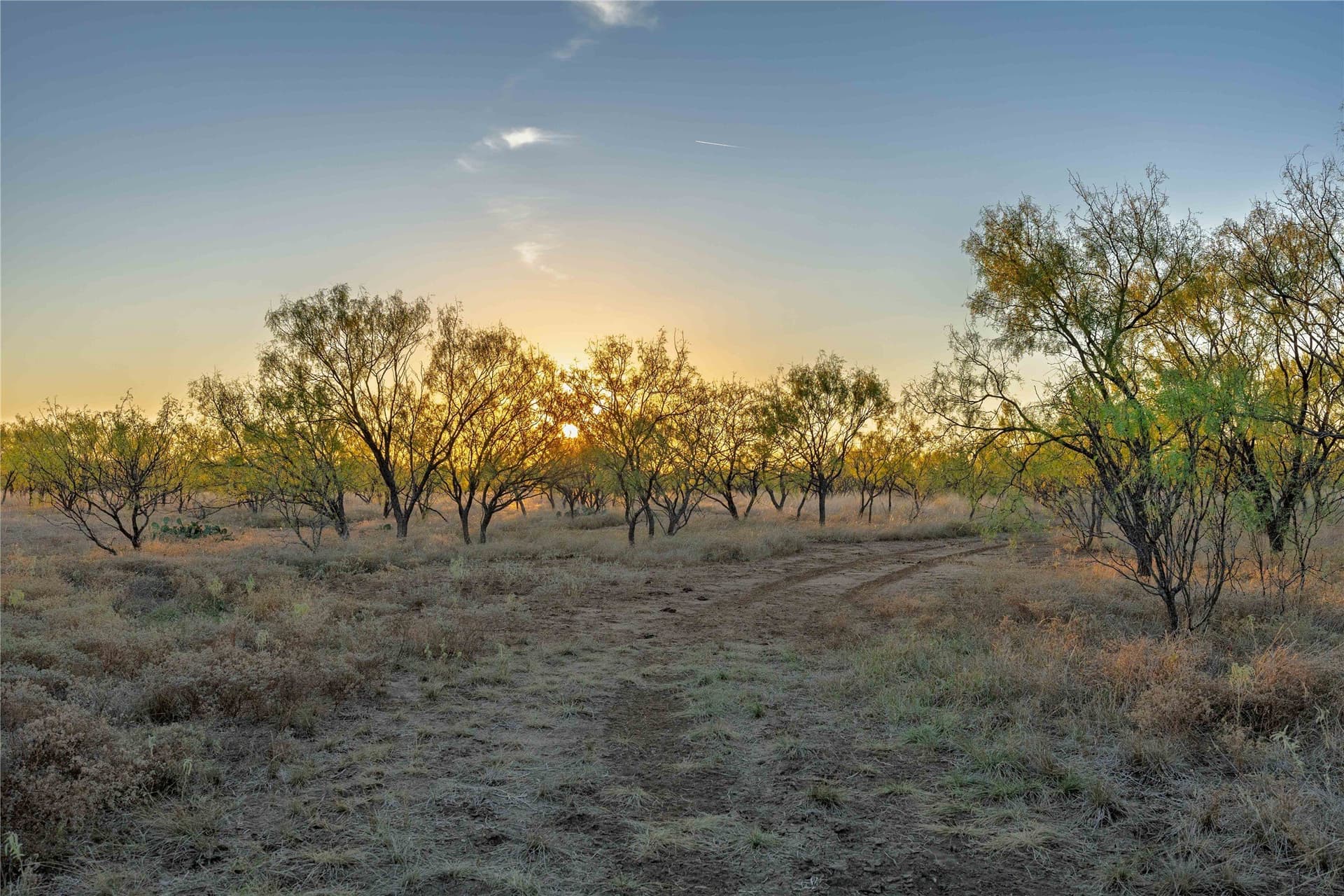 154.5 acres in Brown County - photo 14