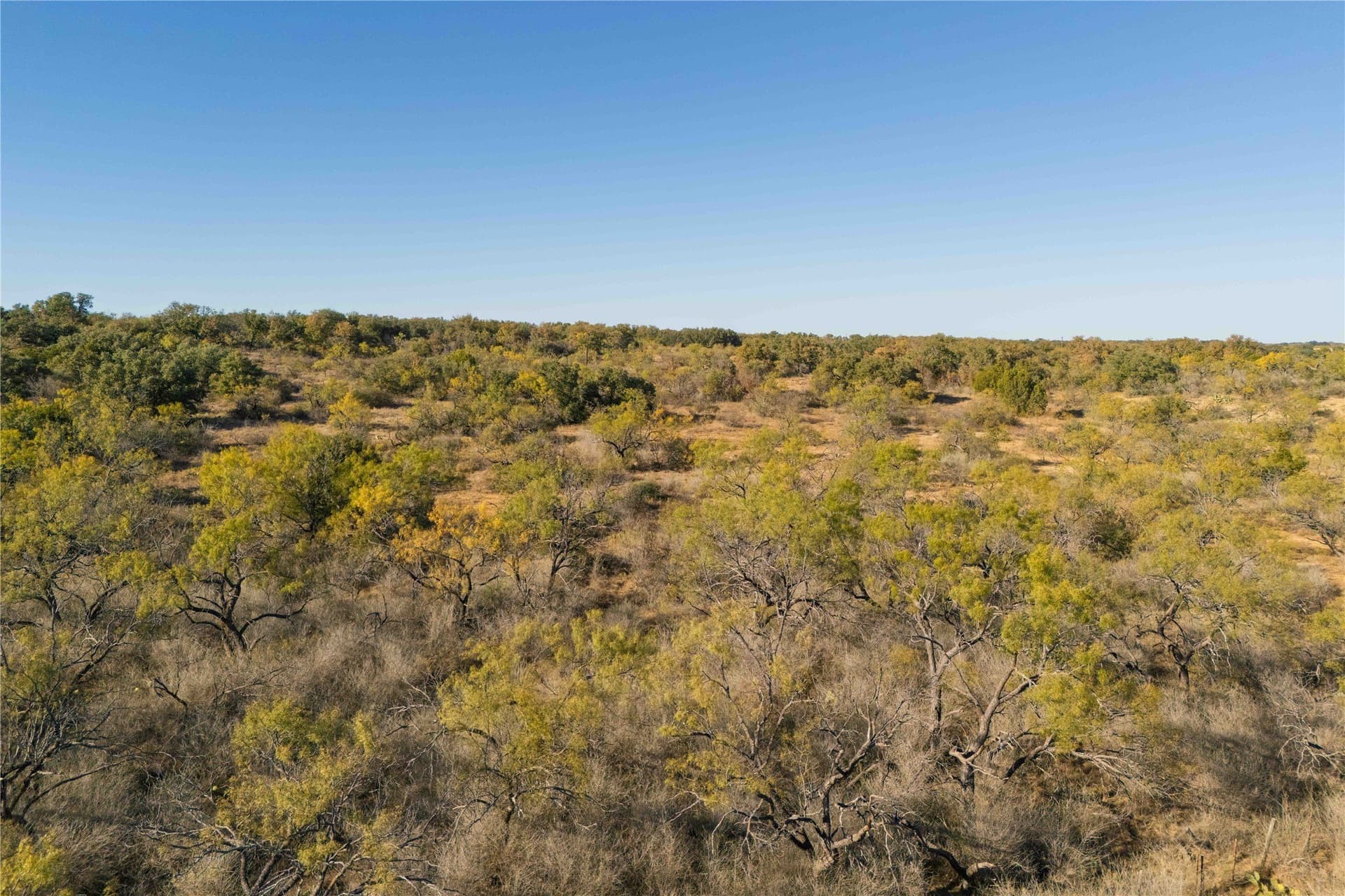 154.5 acres in Brown County - photo 29