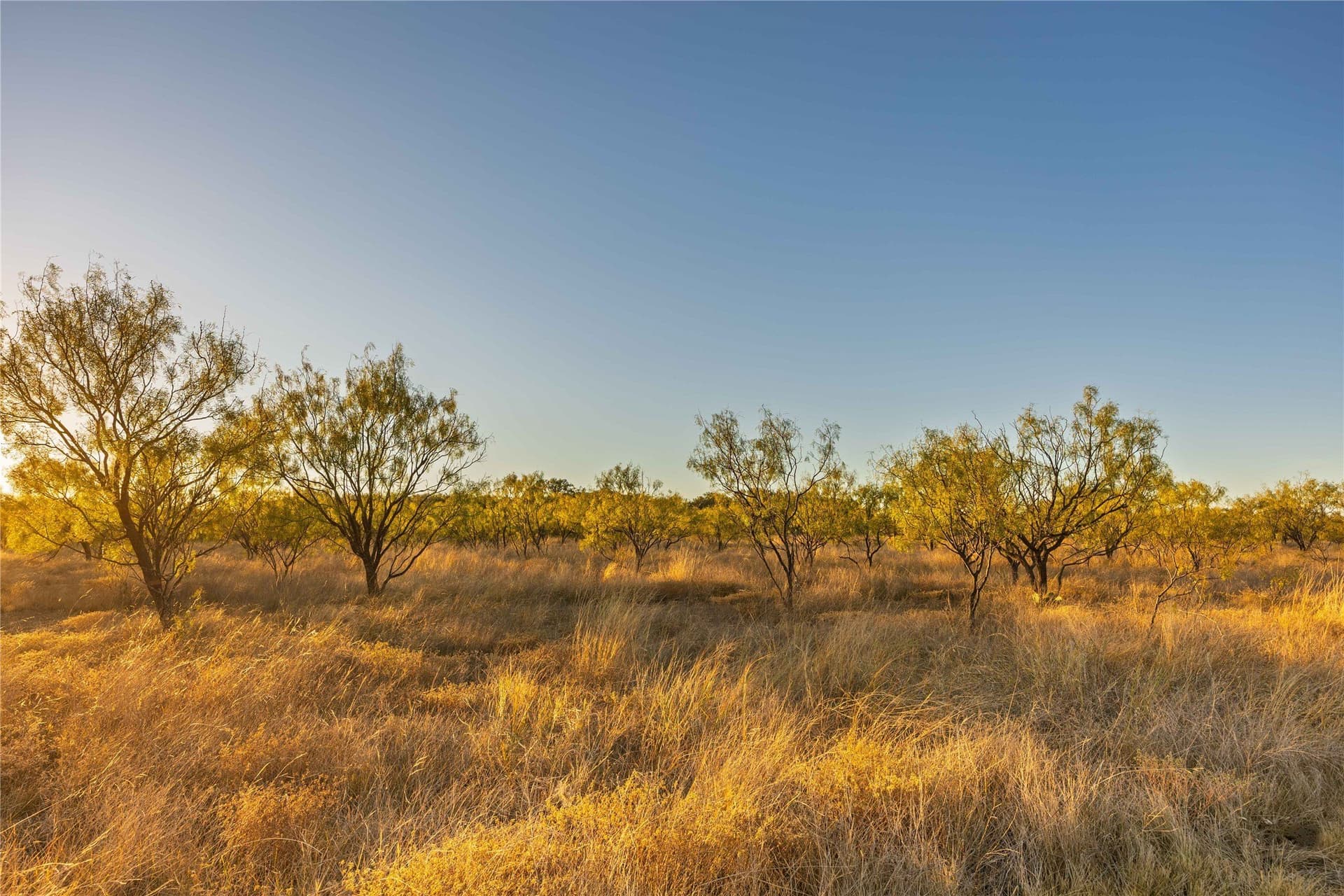 154.5 acres in Brown County - photo 11