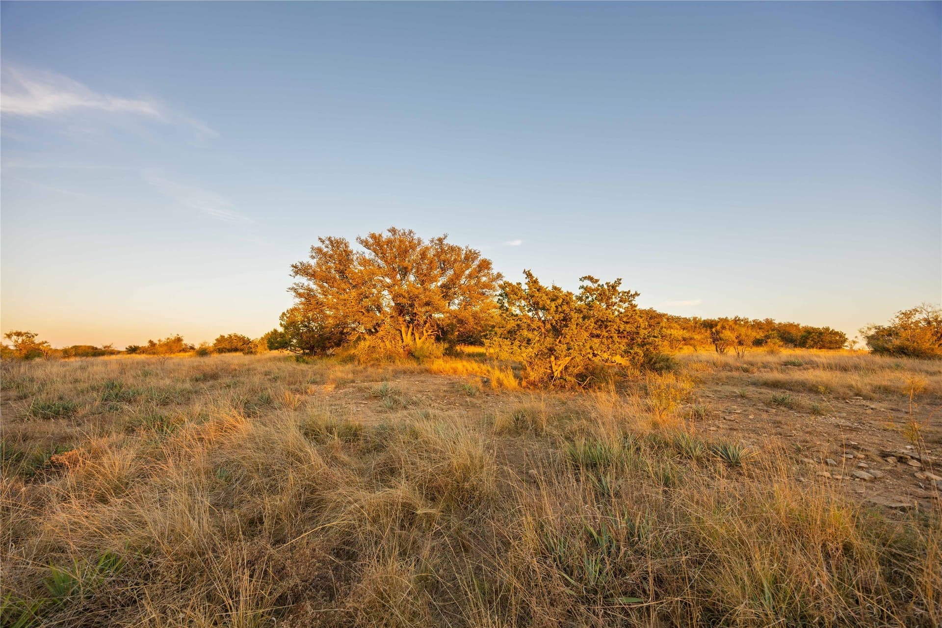 154.5 acres in Brown County - photo 13