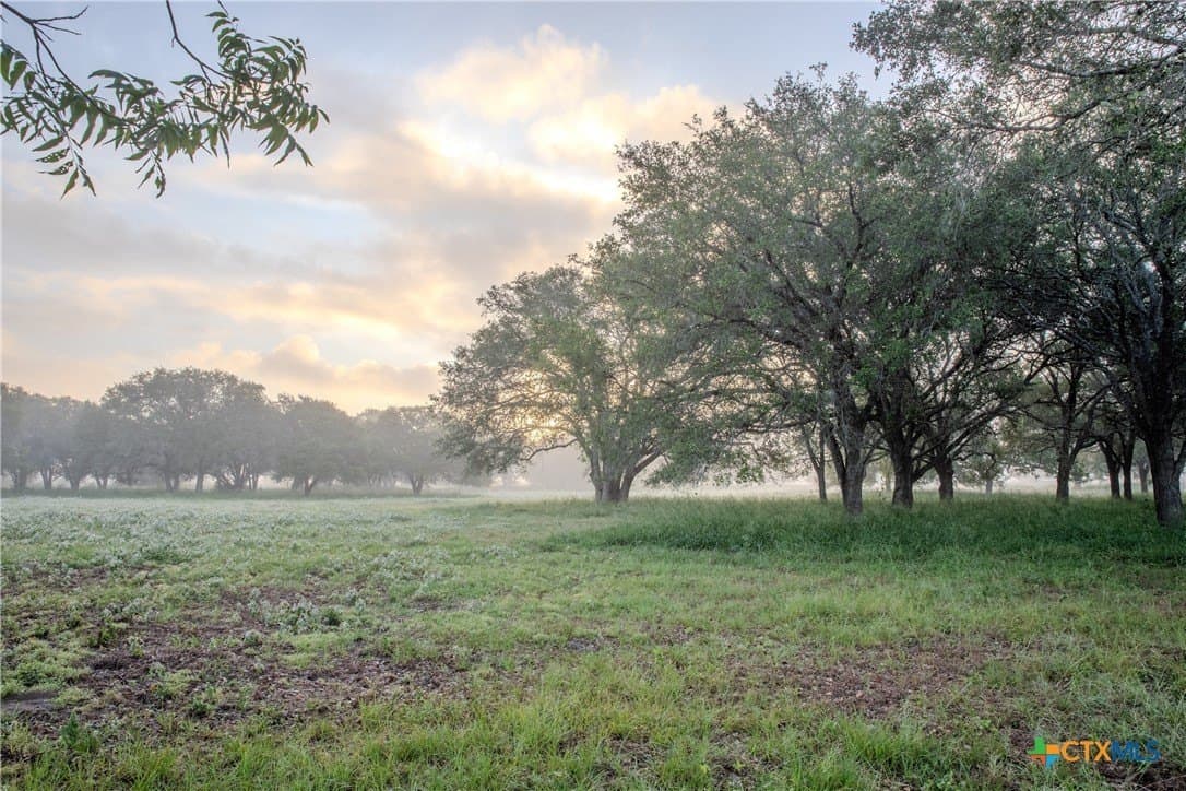 52.38 acres in DeWitt County - photo 35