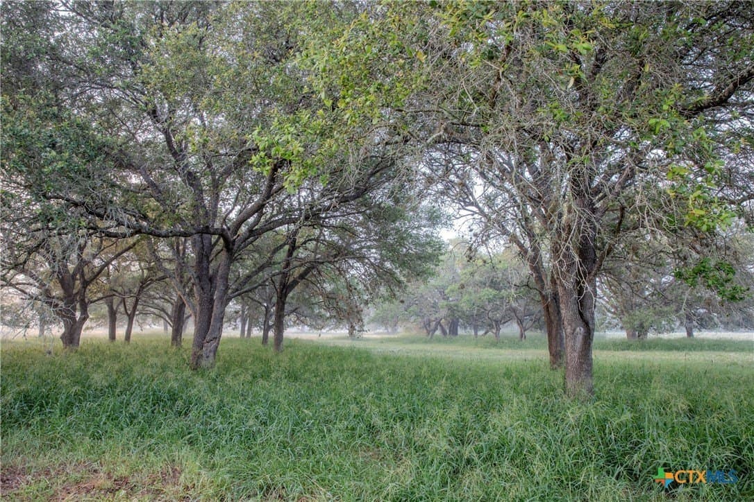 52.38 acres in DeWitt County - photo 36