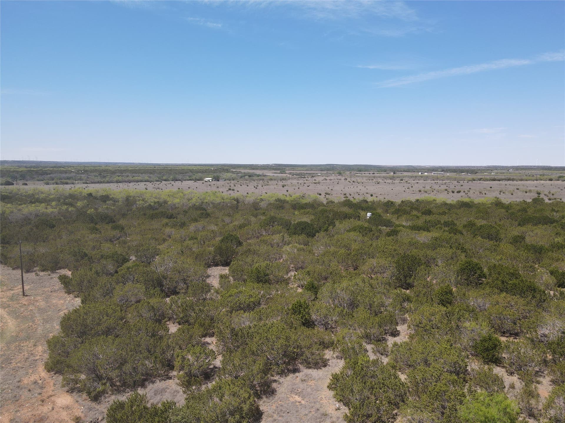 195.2 acres in Taylor County - photo 6