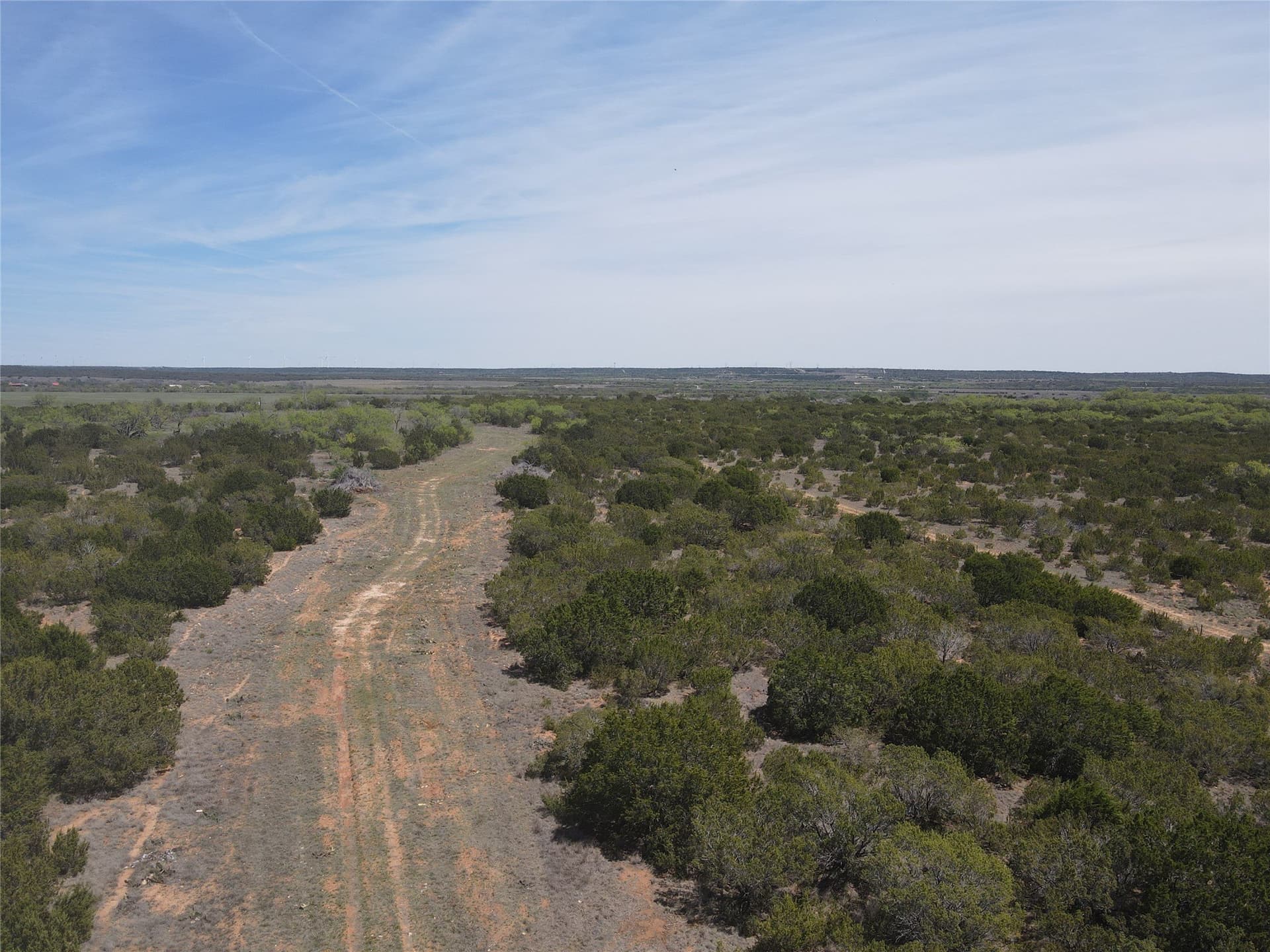 195.2 acres in Taylor County - photo 10