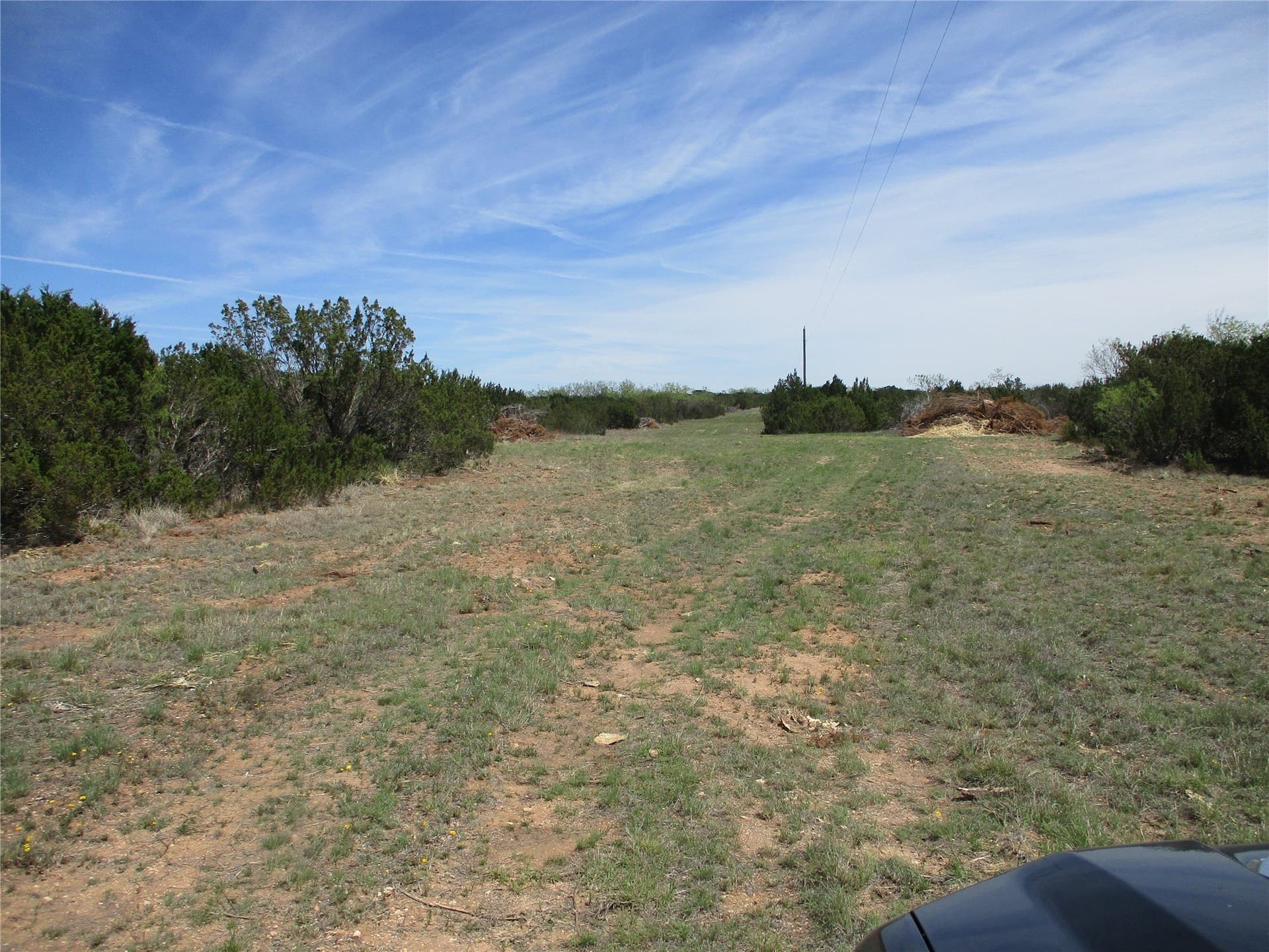 195.2 acres in Taylor County - photo 22