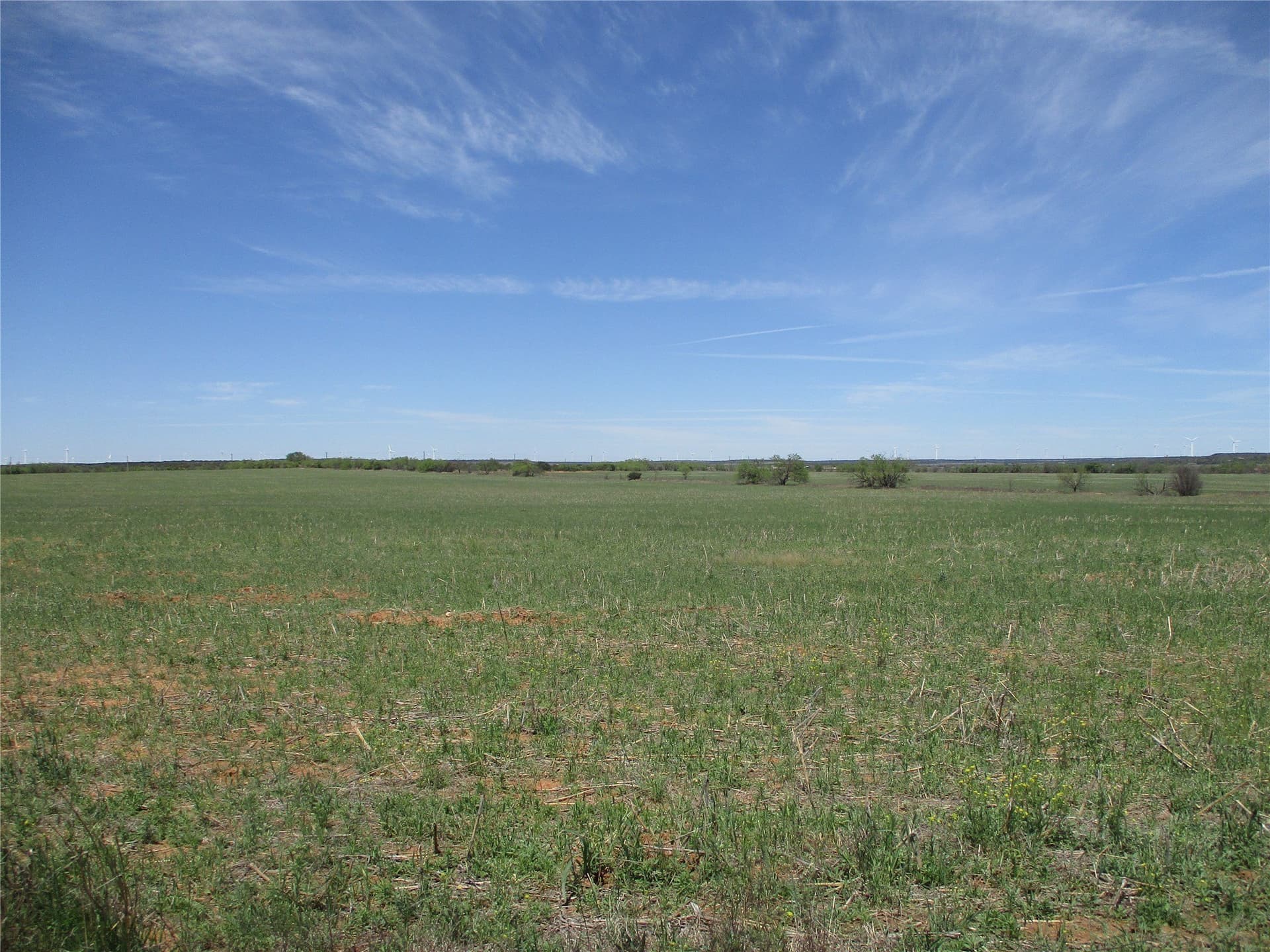 195.2 acres in Taylor County - photo 34