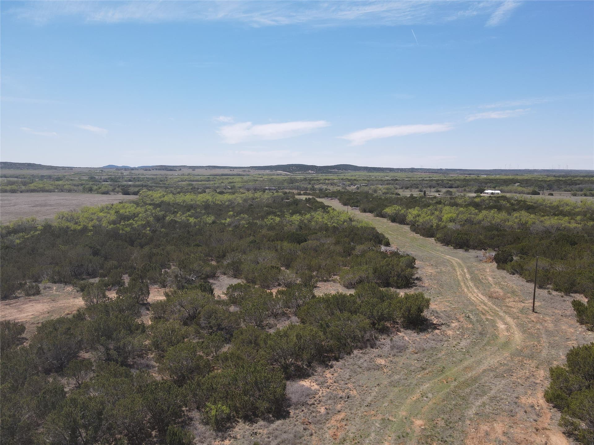 195.2 acres in Taylor County - photo 7