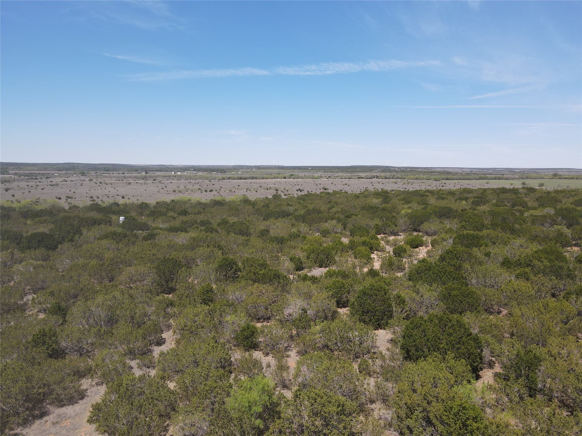 195.2 acres in Taylor County - photo 11