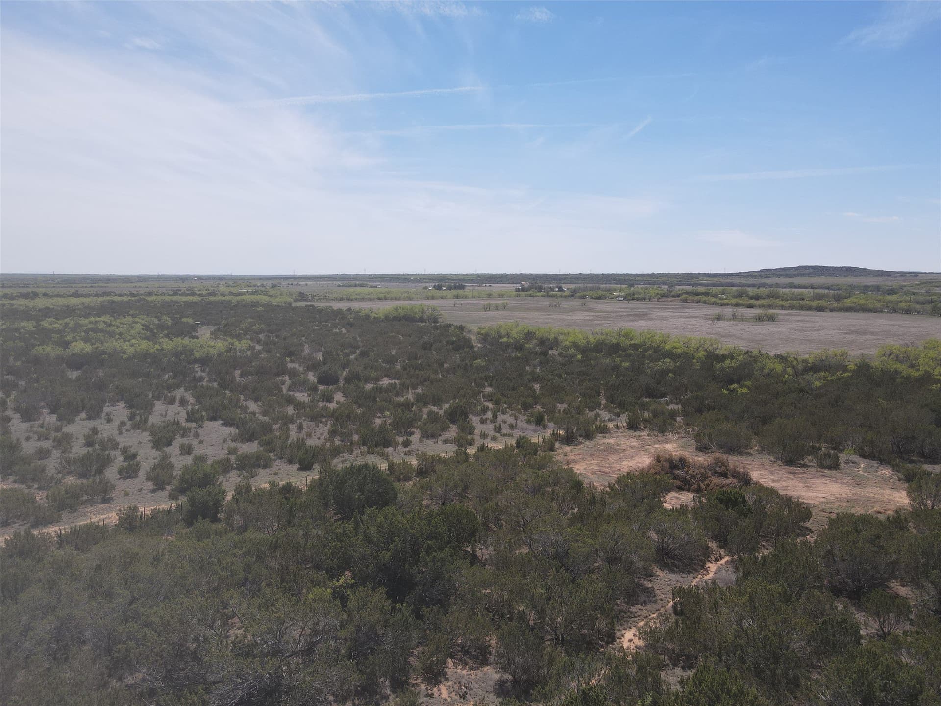 195.2 acres in Taylor County - photo 8