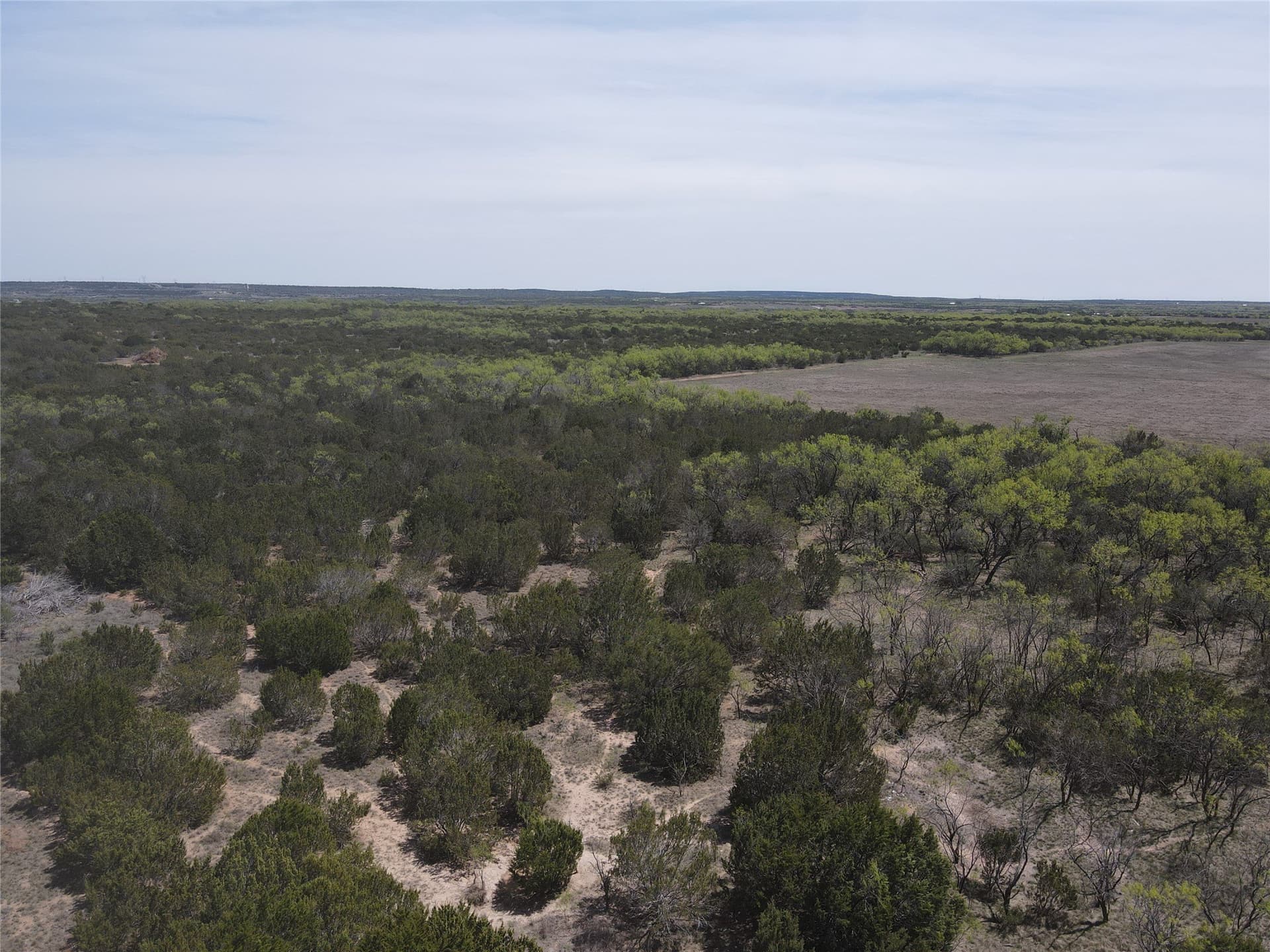 195.2 acres in Taylor County - photo 4