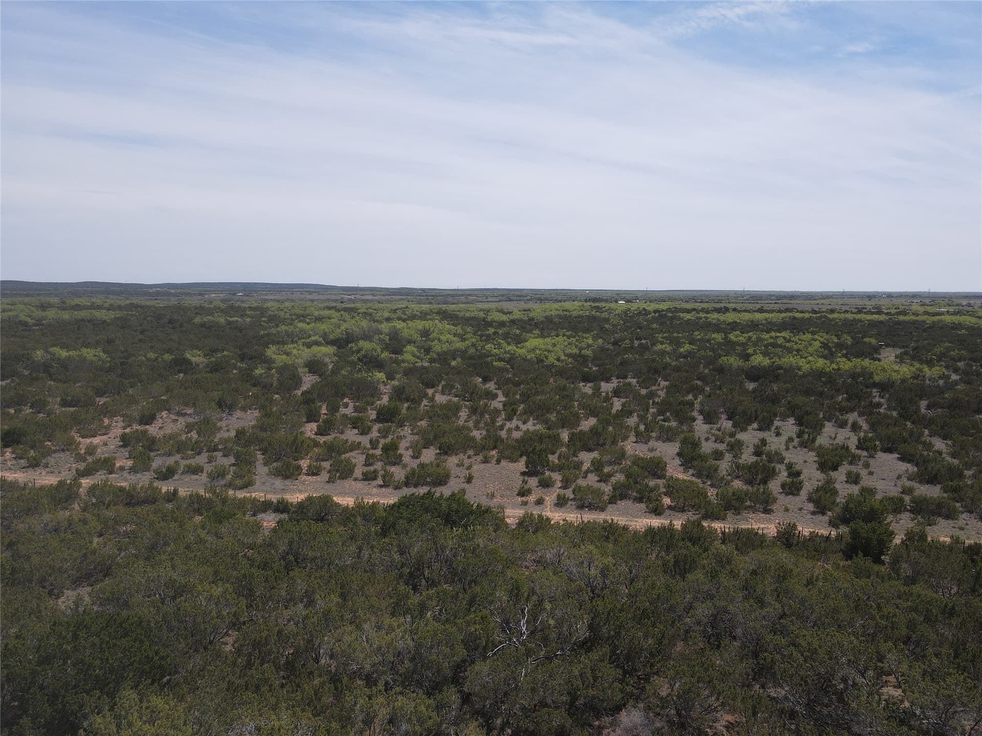 195.2 acres in Taylor County - photo 9