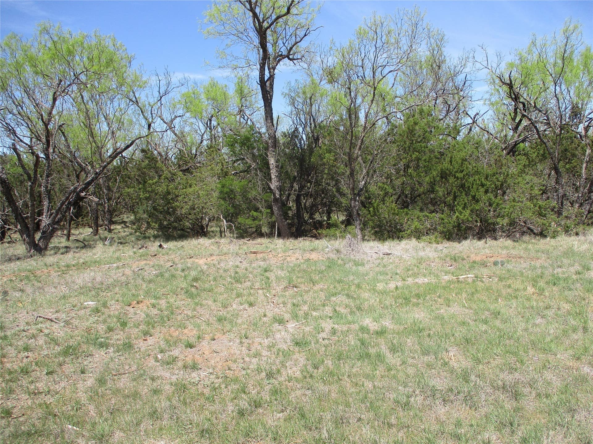 195.2 acres in Taylor County - photo 25