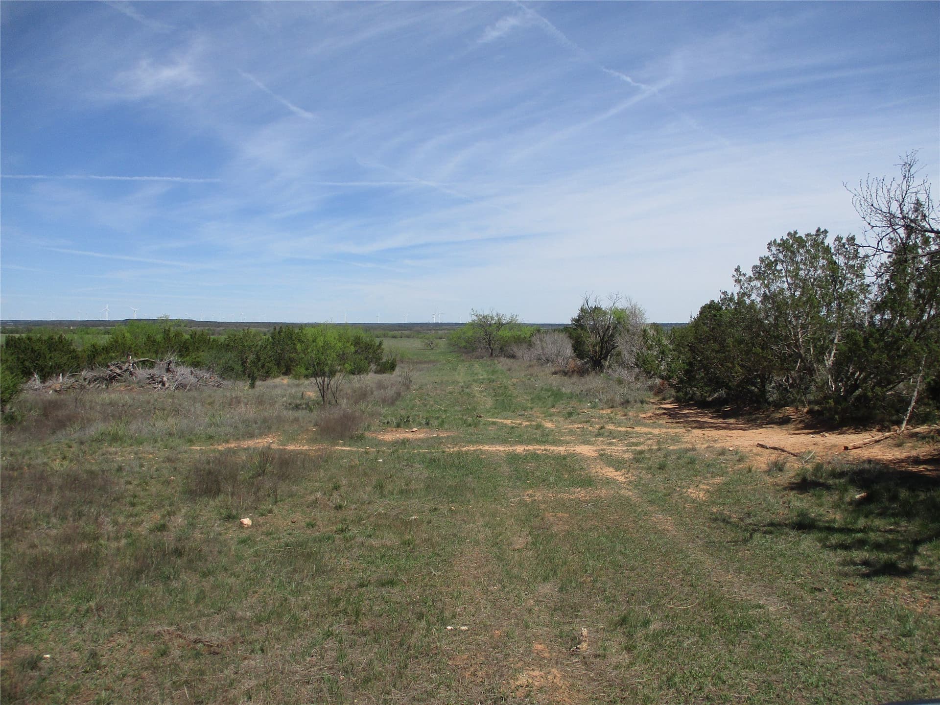 195.2 acres in Taylor County - photo 31