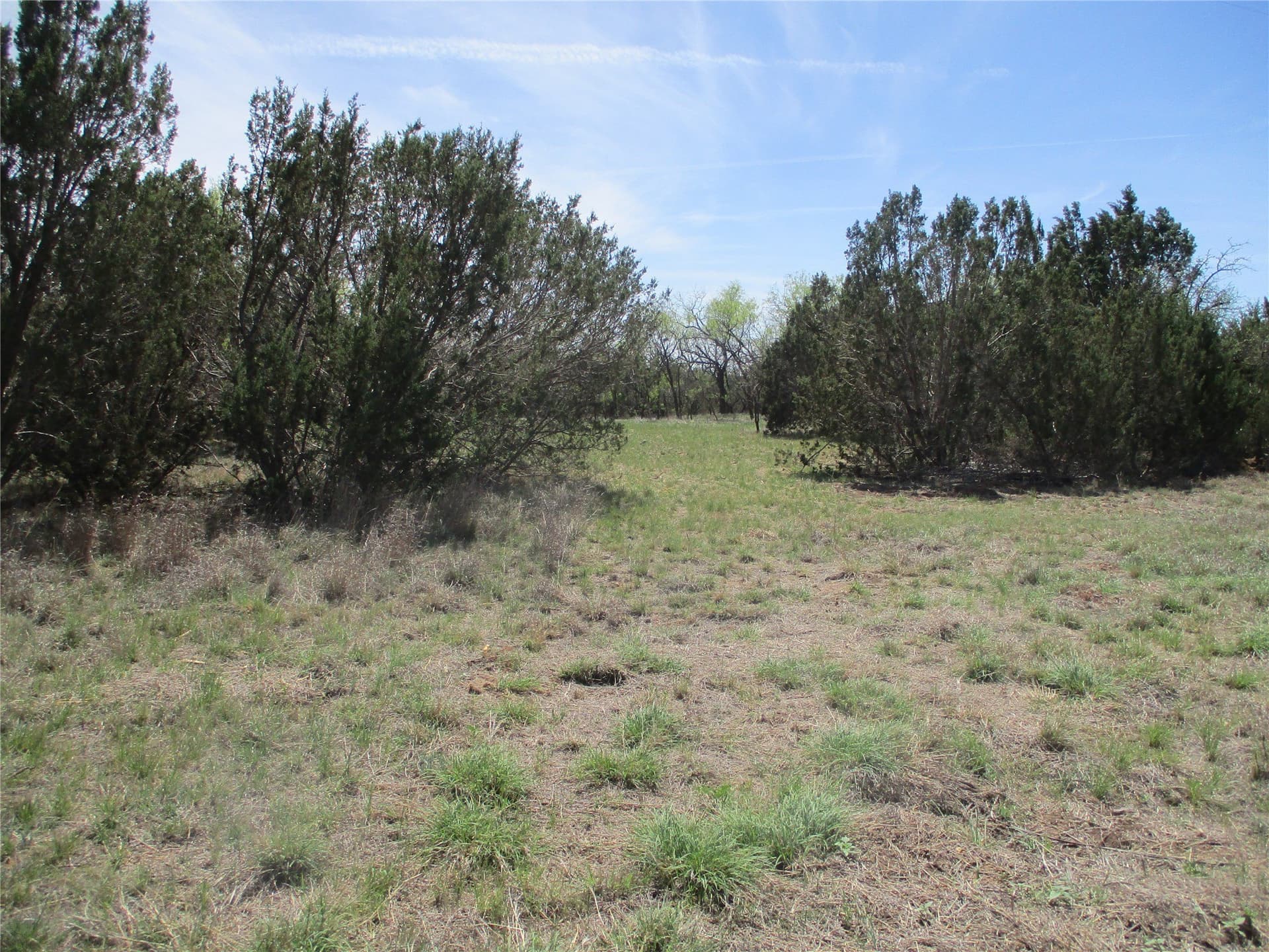195.2 acres in Taylor County - photo 24