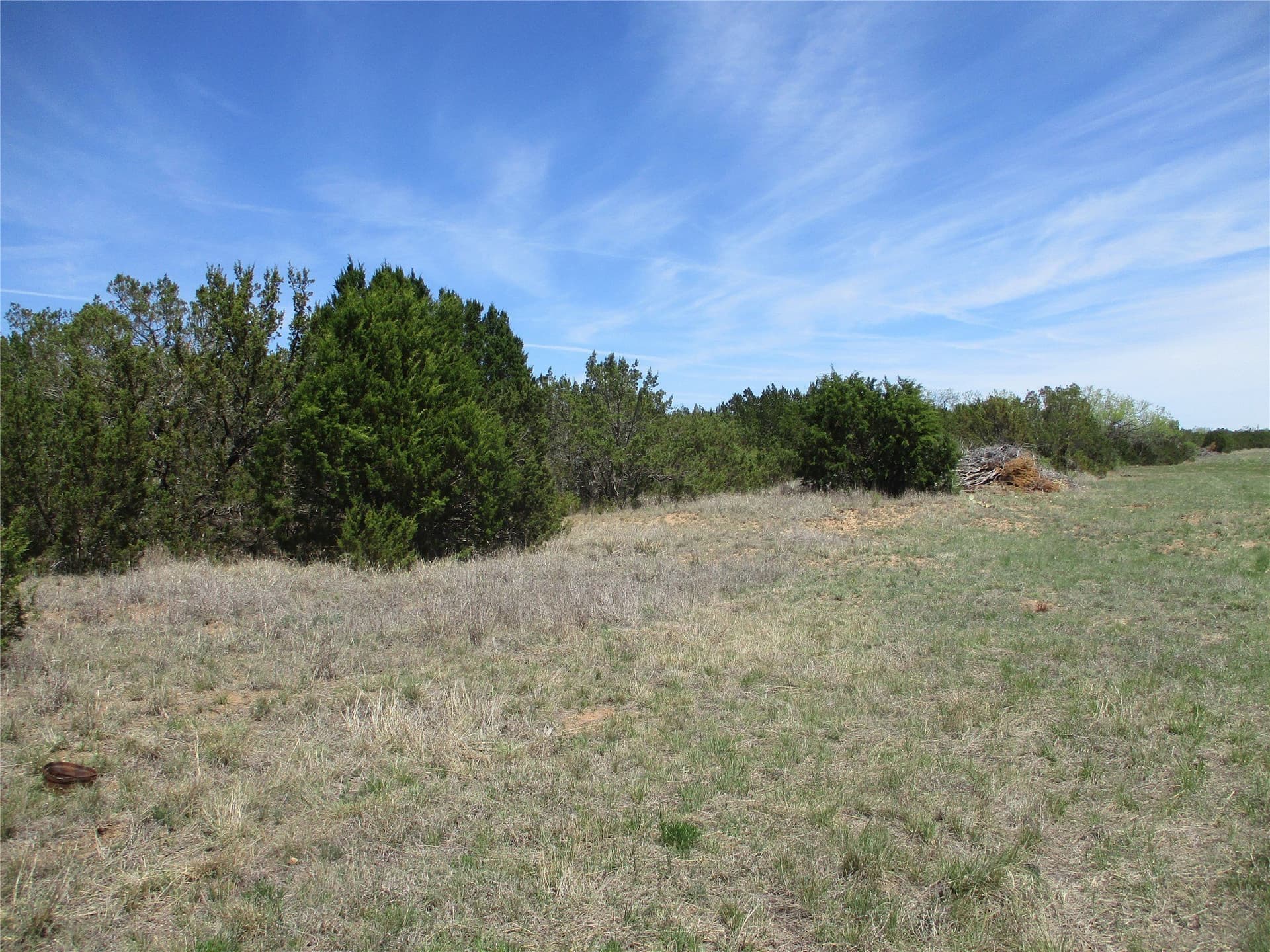 195.2 acres in Taylor County - photo 23