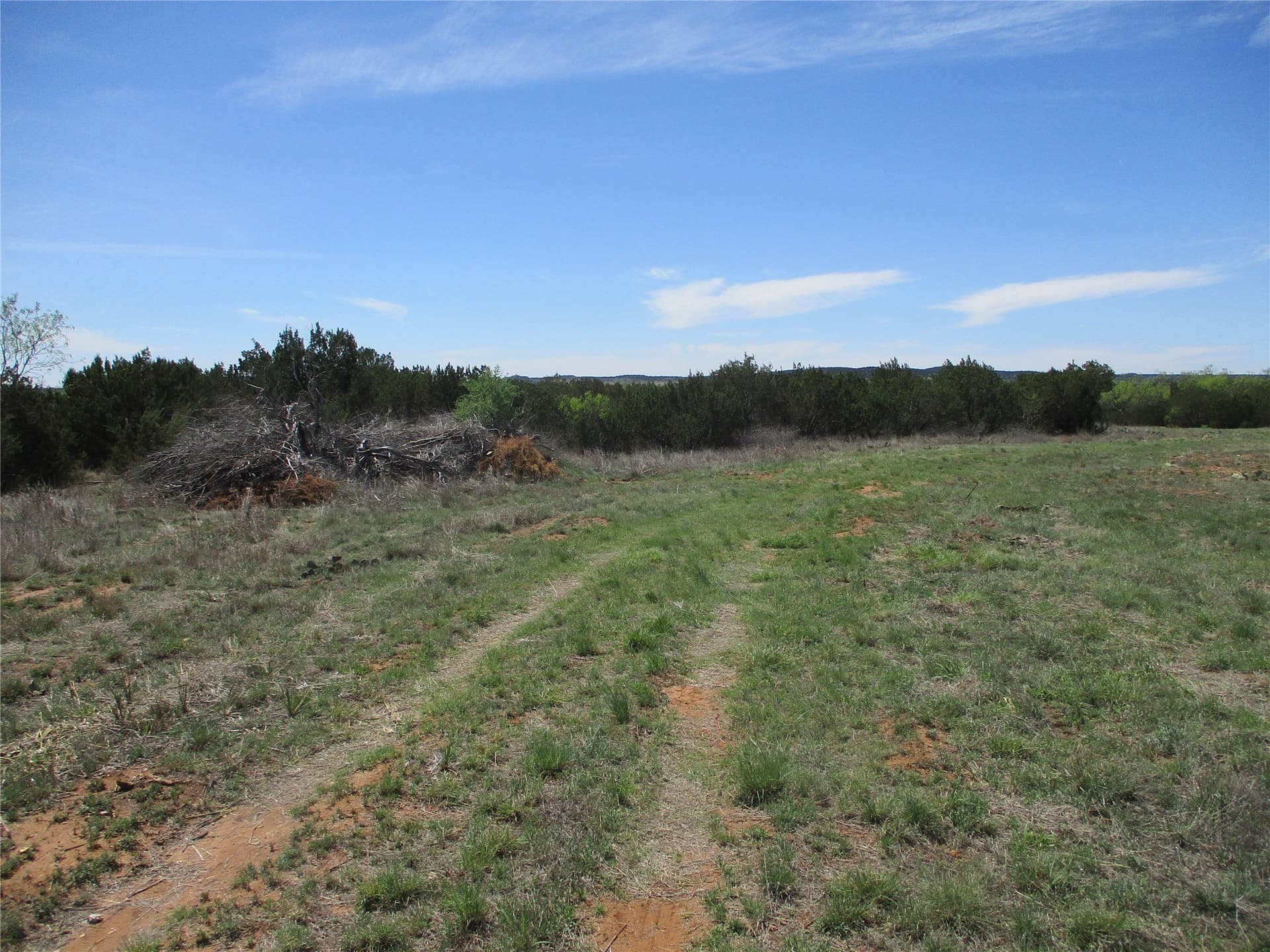 195.2 acres in Taylor County - photo 26