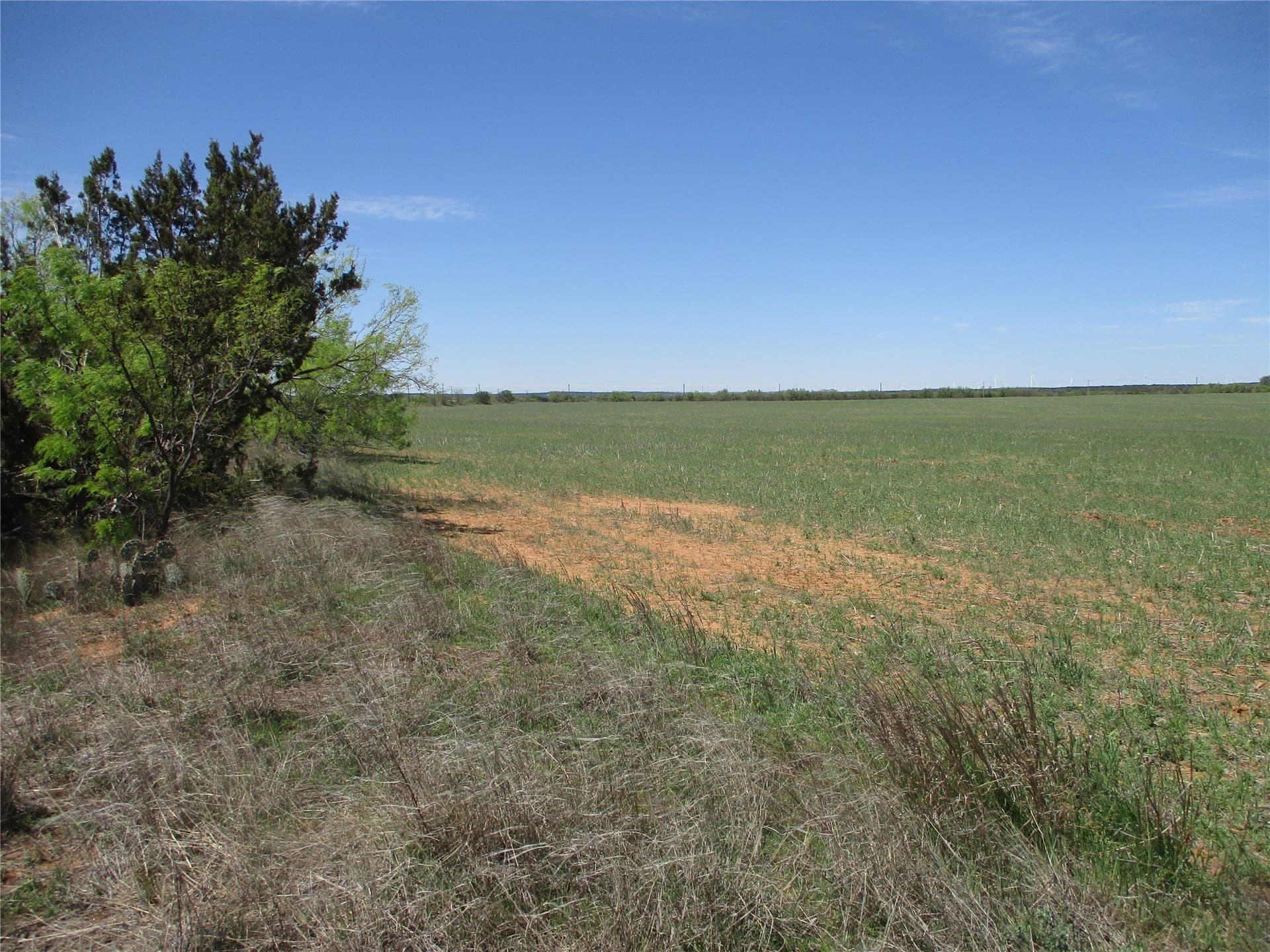 195.2 acres in Taylor County - photo 35