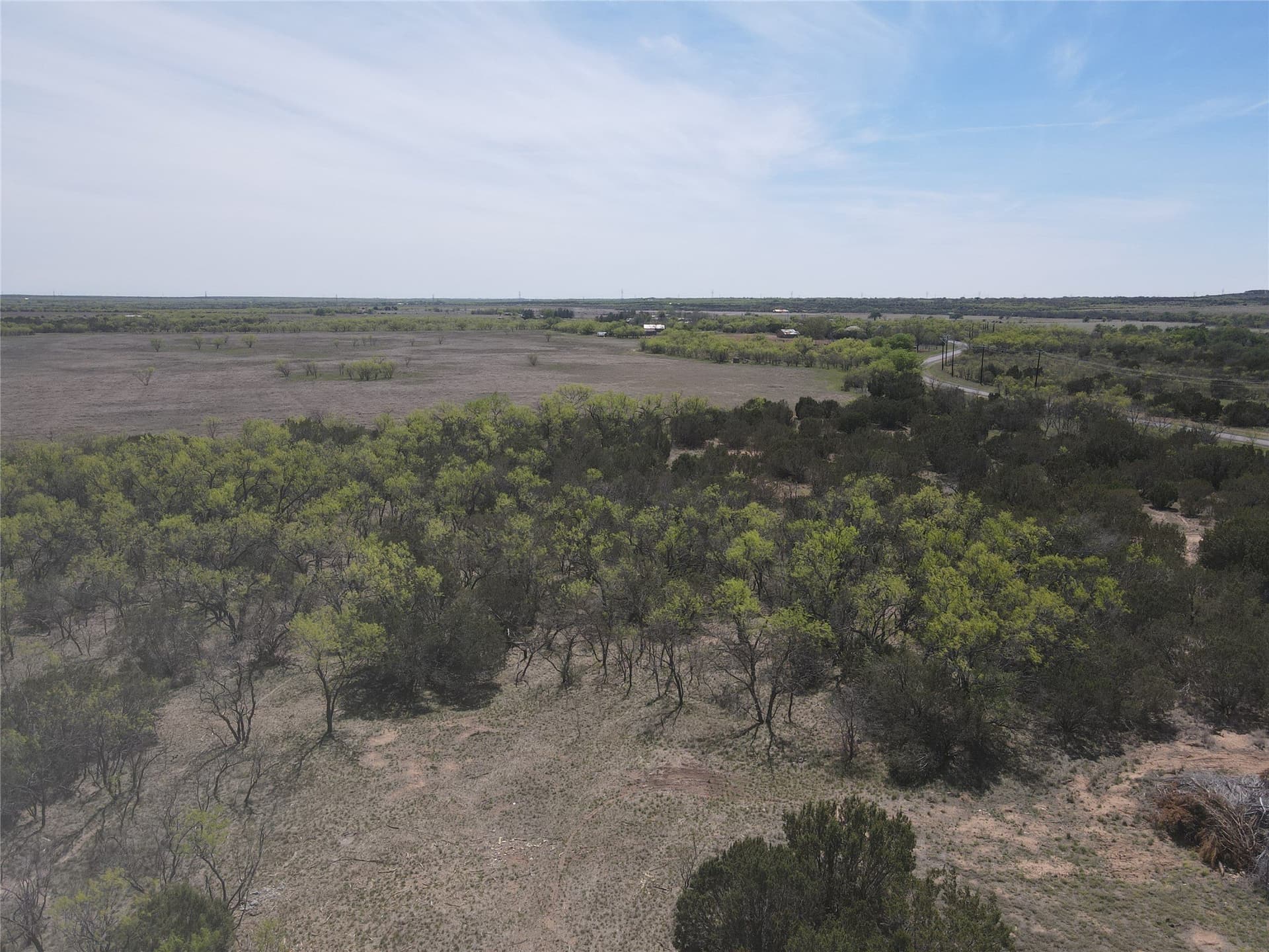 195.2 acres in Taylor County - photo 3