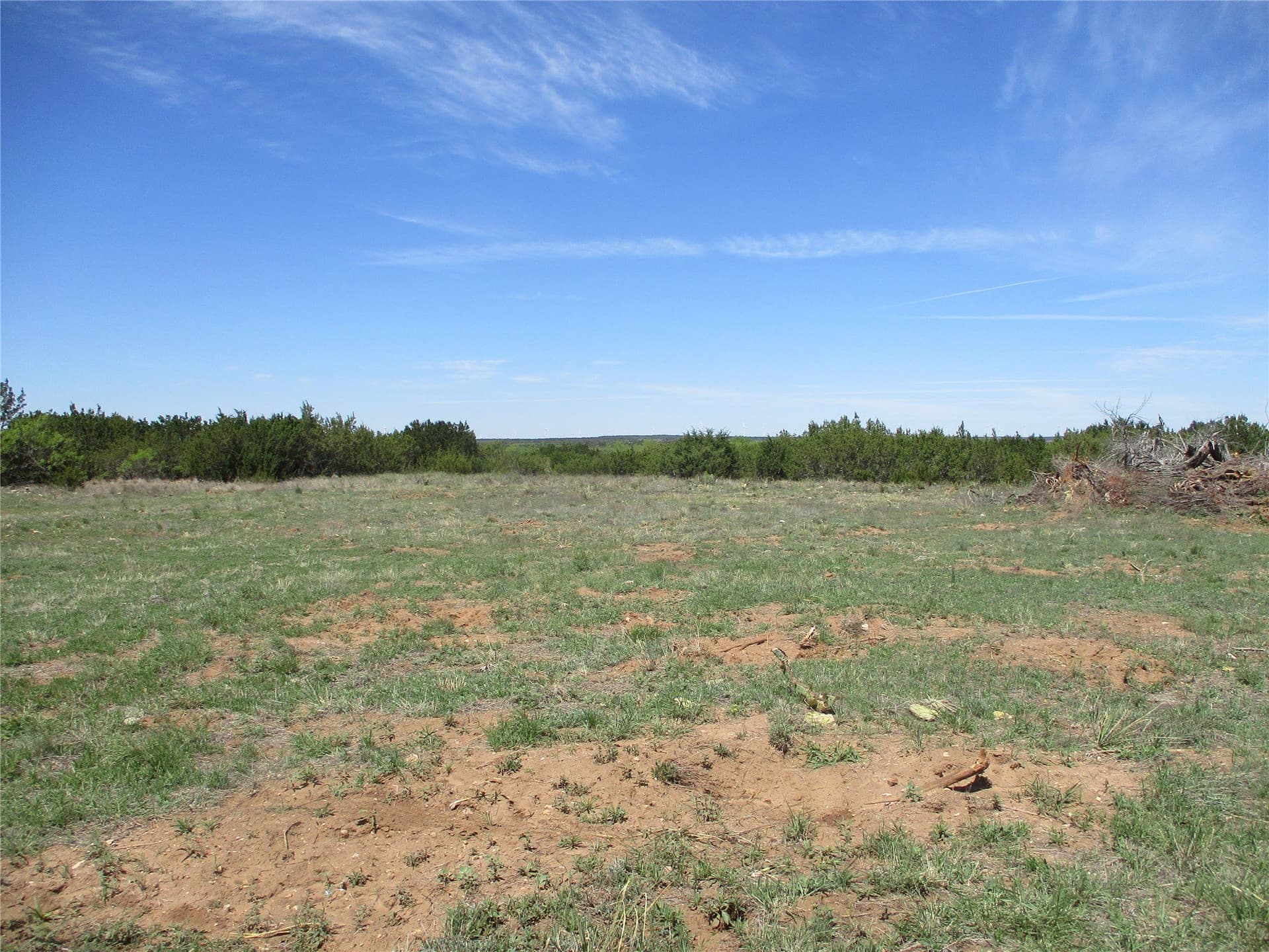 195.2 acres in Taylor County - photo 28
