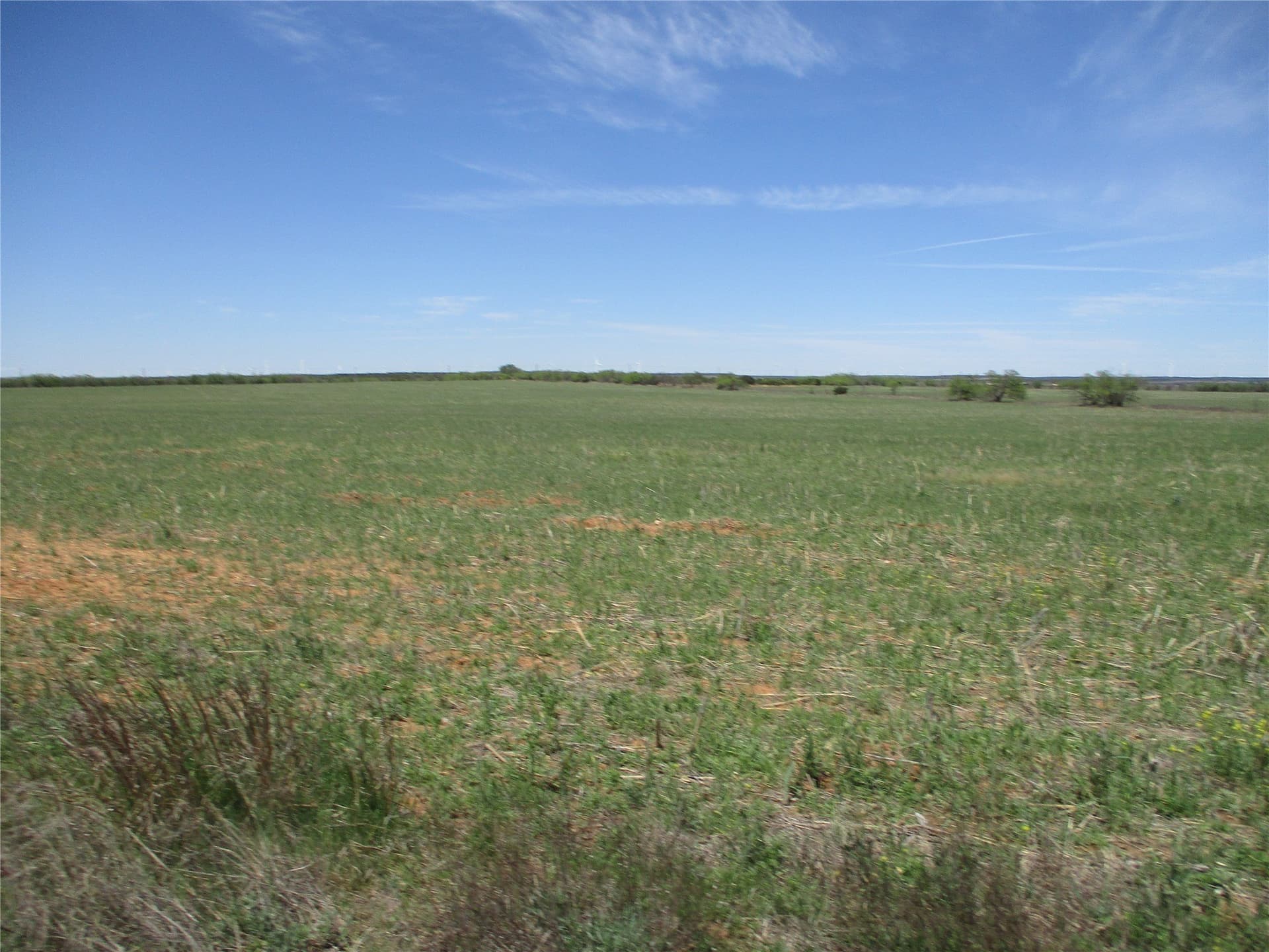 195.2 acres in Taylor County - photo 33