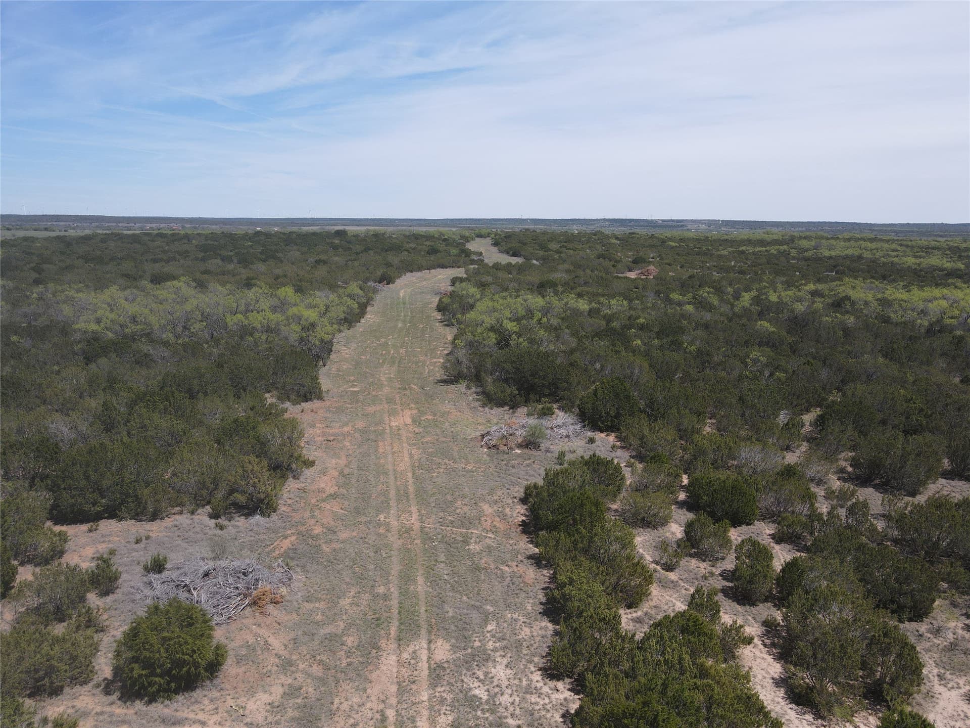 195.2 acres in Taylor County - photo 5