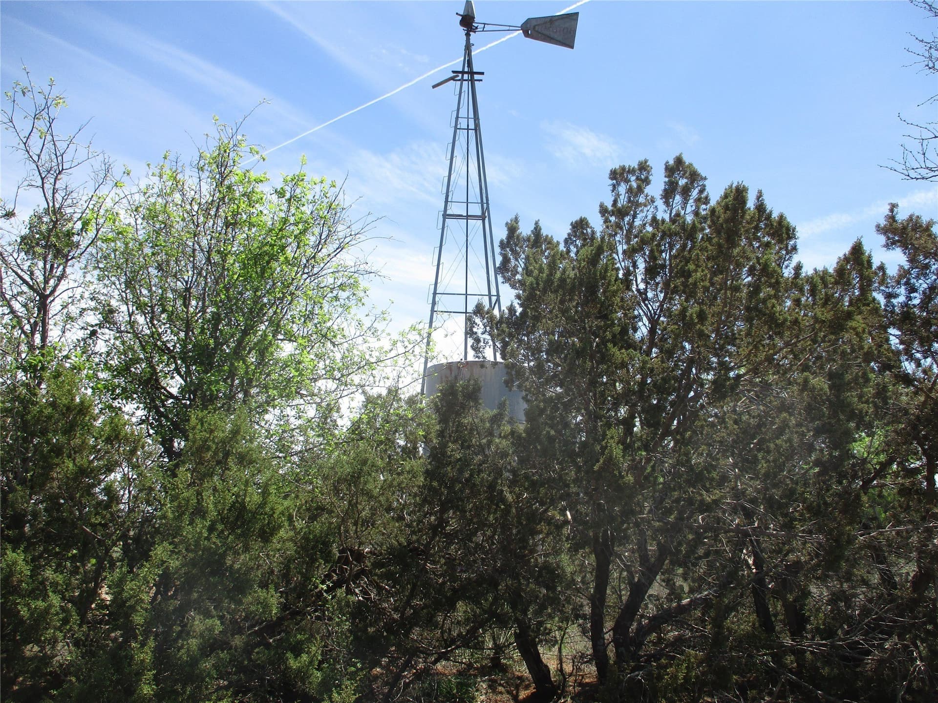 195.2 acres in Taylor County - photo 32