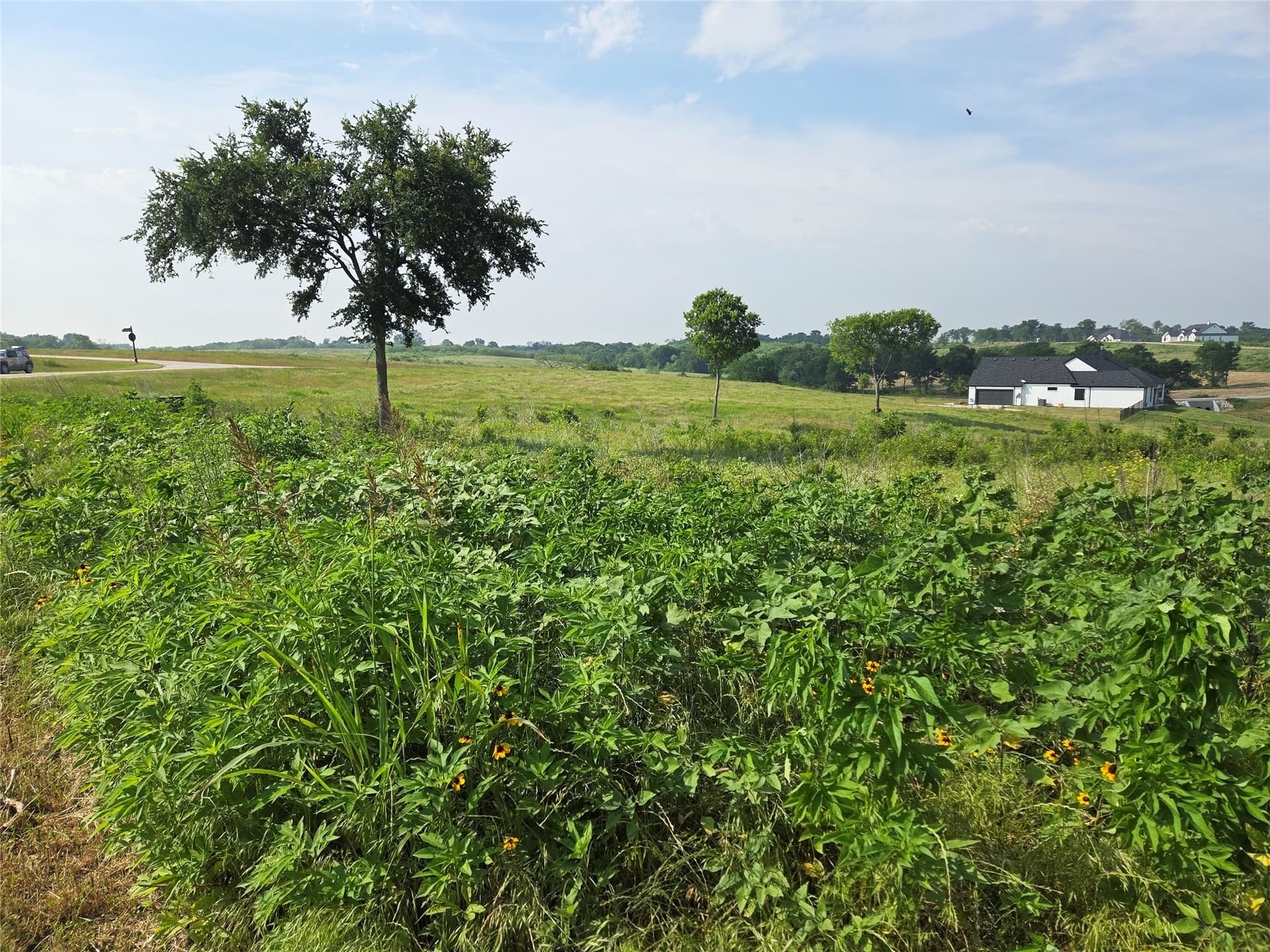 1.64 acres in Navarro County - photo 12