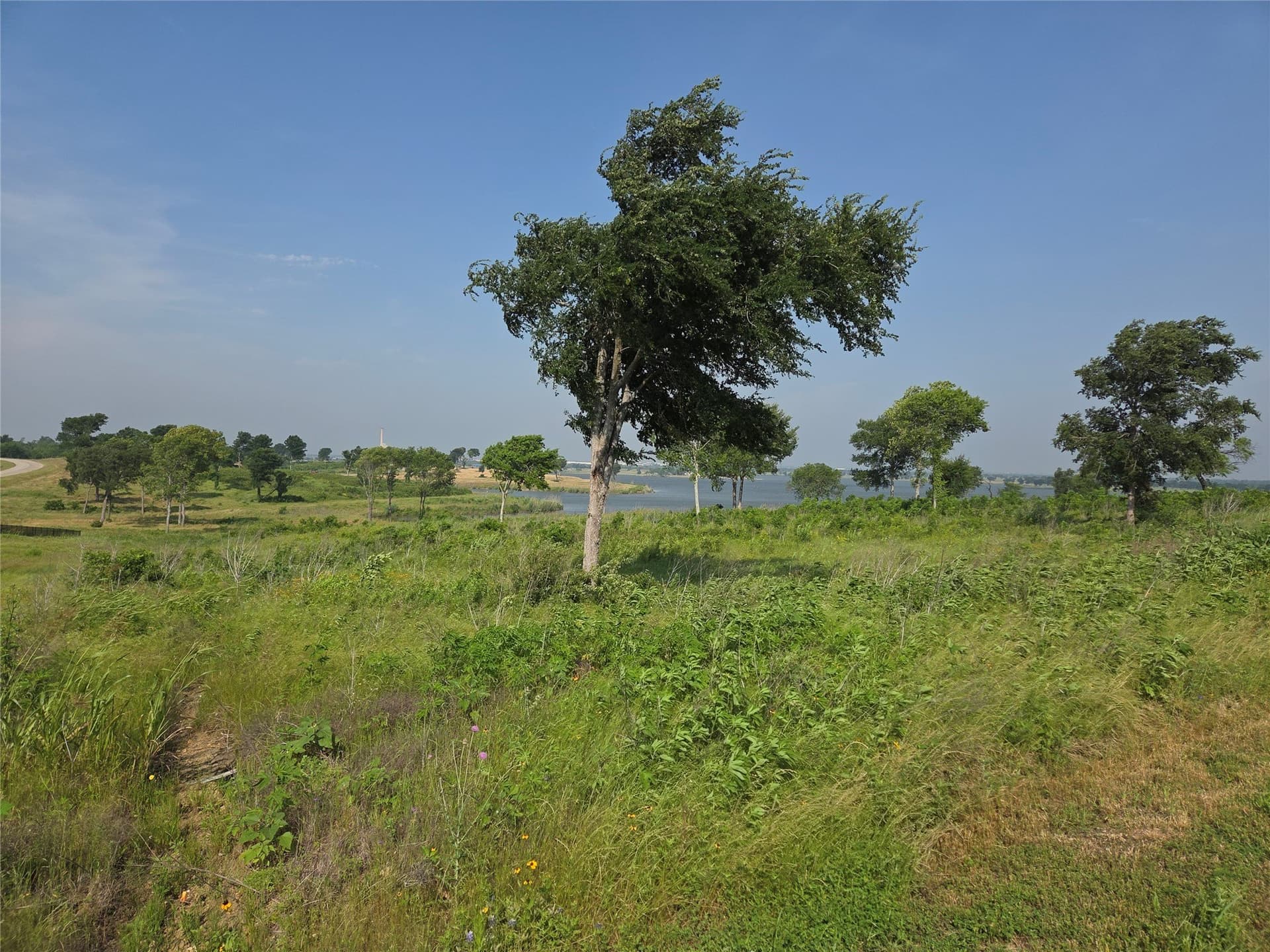 1.64 acres in Navarro County - photo 4
