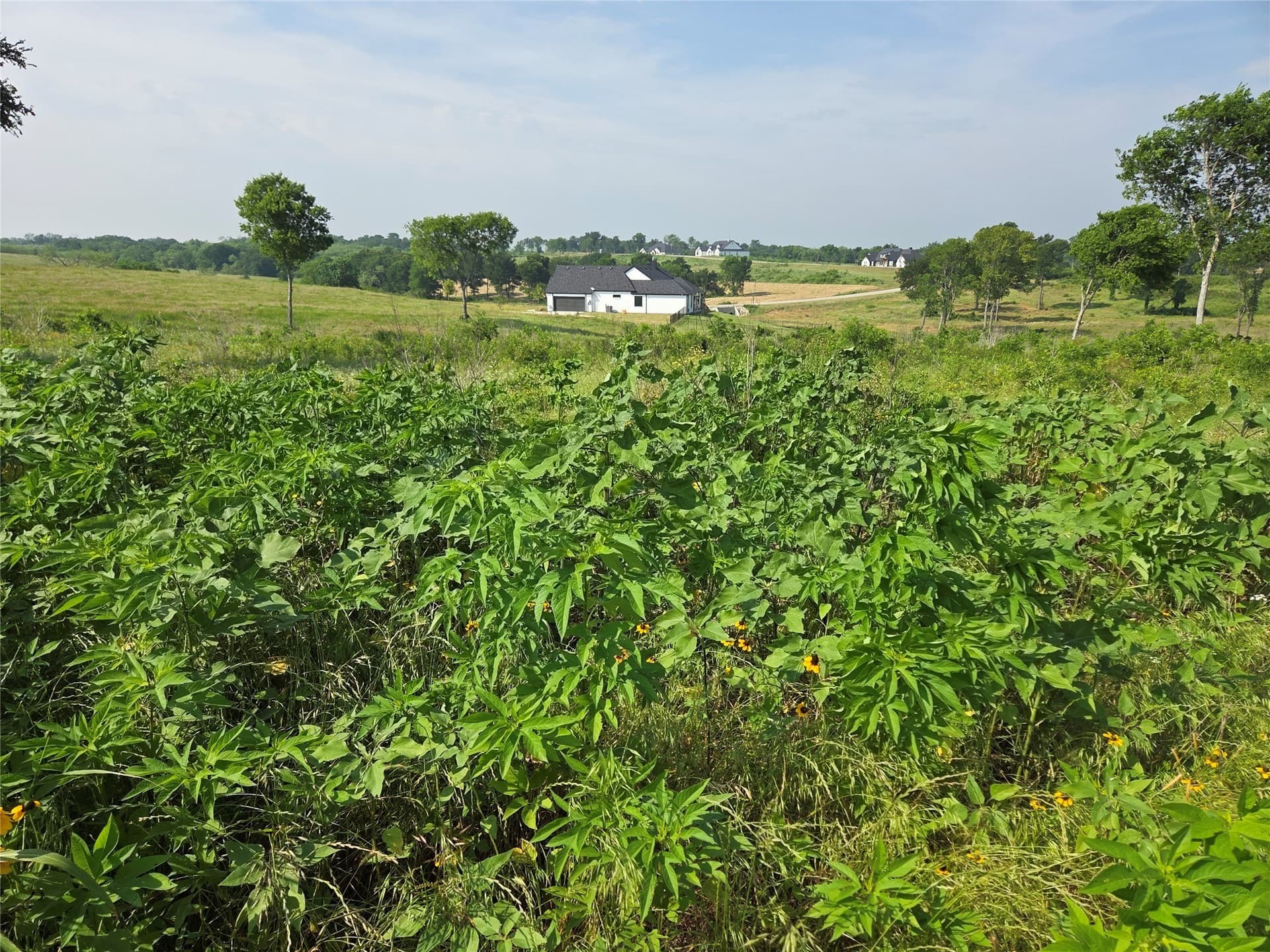 1.64 acres in Navarro County - photo 25