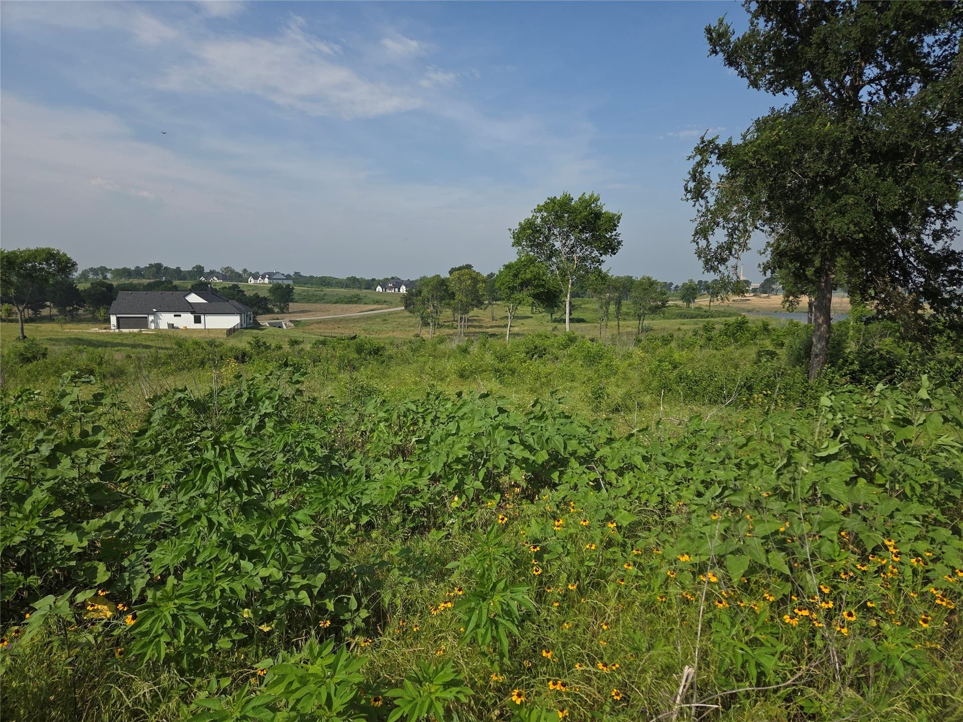 1.64 acres in Navarro County - photo 8