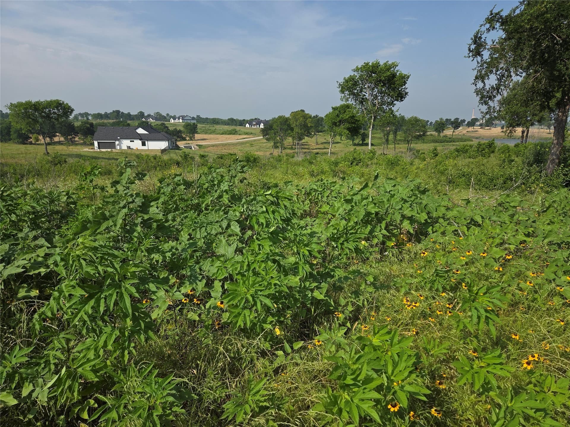 1.64 acres in Navarro County - photo 23