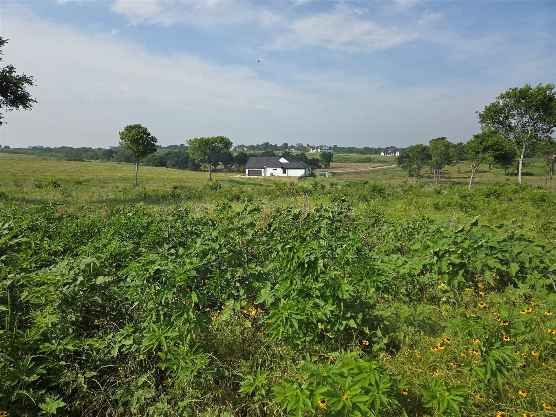 1.64 acres in Navarro County - photo 10