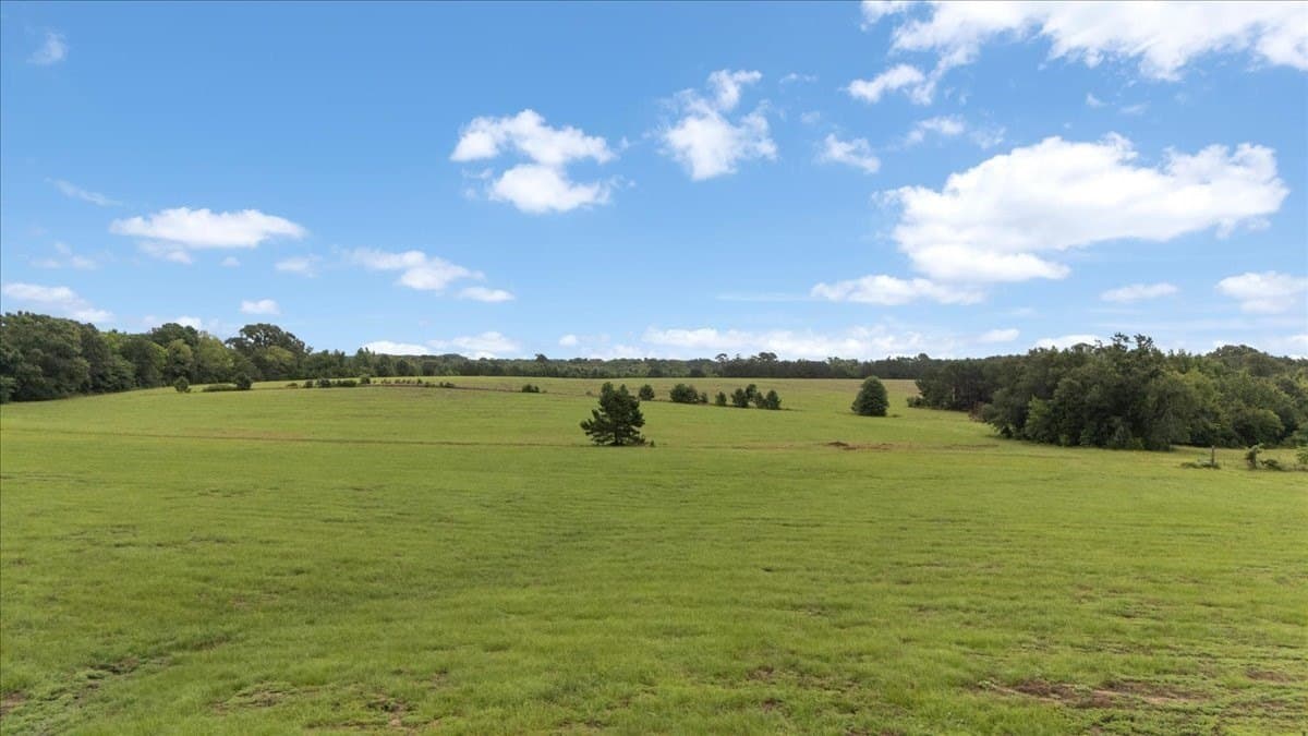 93.3 acres in Upshur County - photo 31