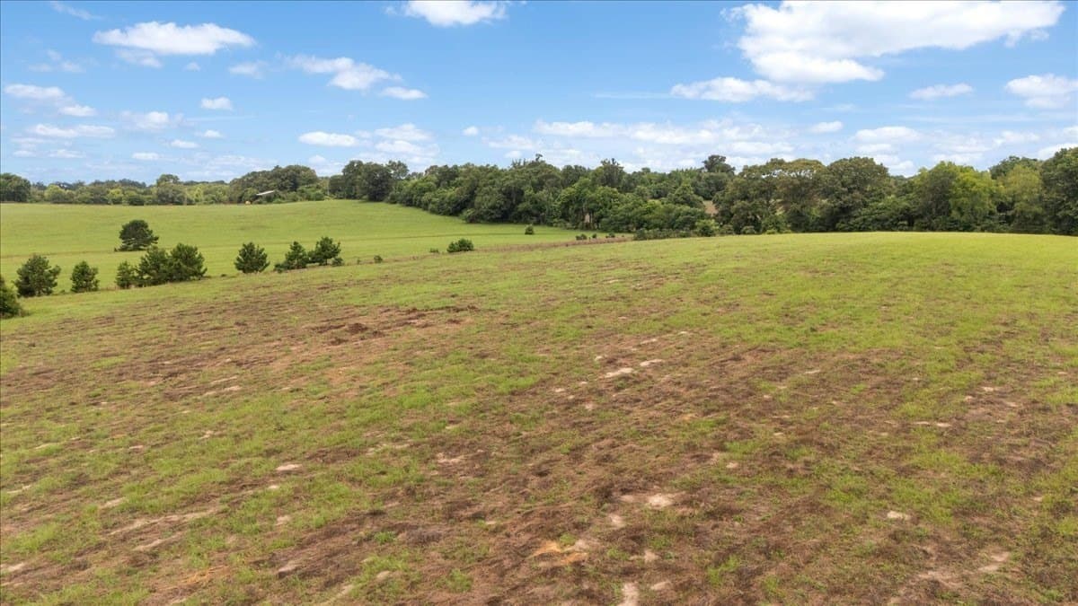 93.3 acres in Upshur County - photo 27