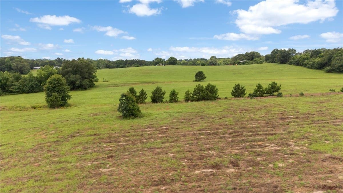 93.3 acres in Upshur County - photo 28