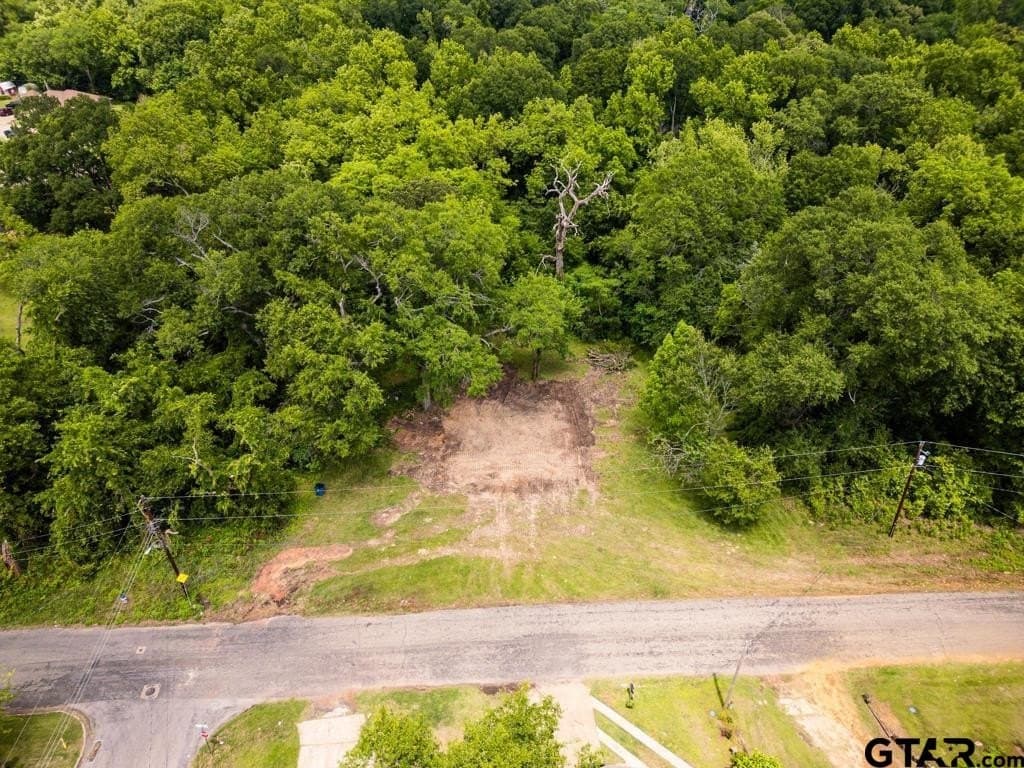 4.02 acres in Titus County gallery image 4