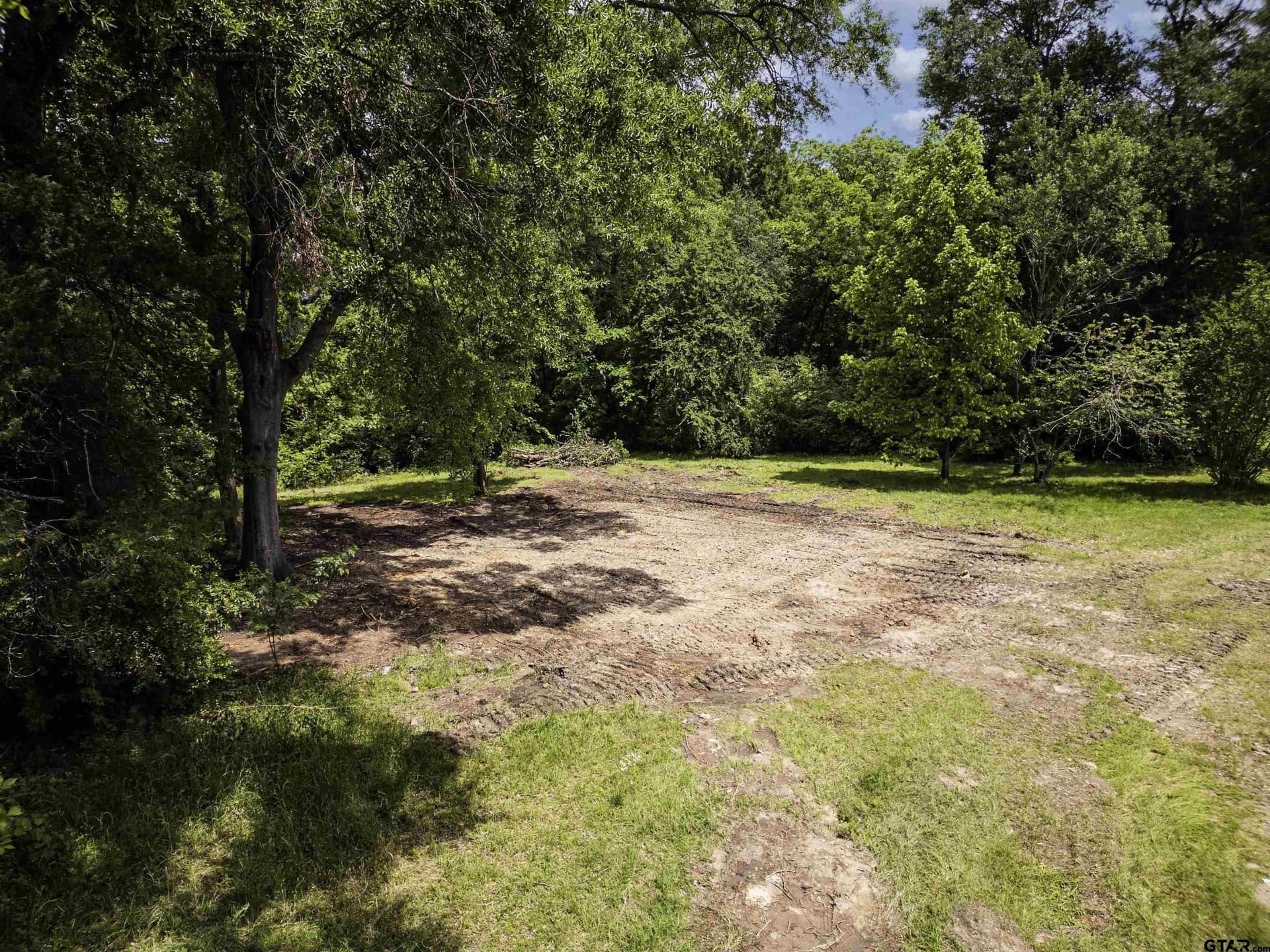 4.02 acres in Titus County gallery image 2