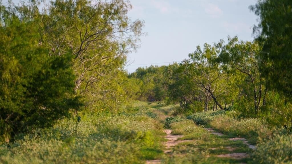 25 acres in Atascosa County